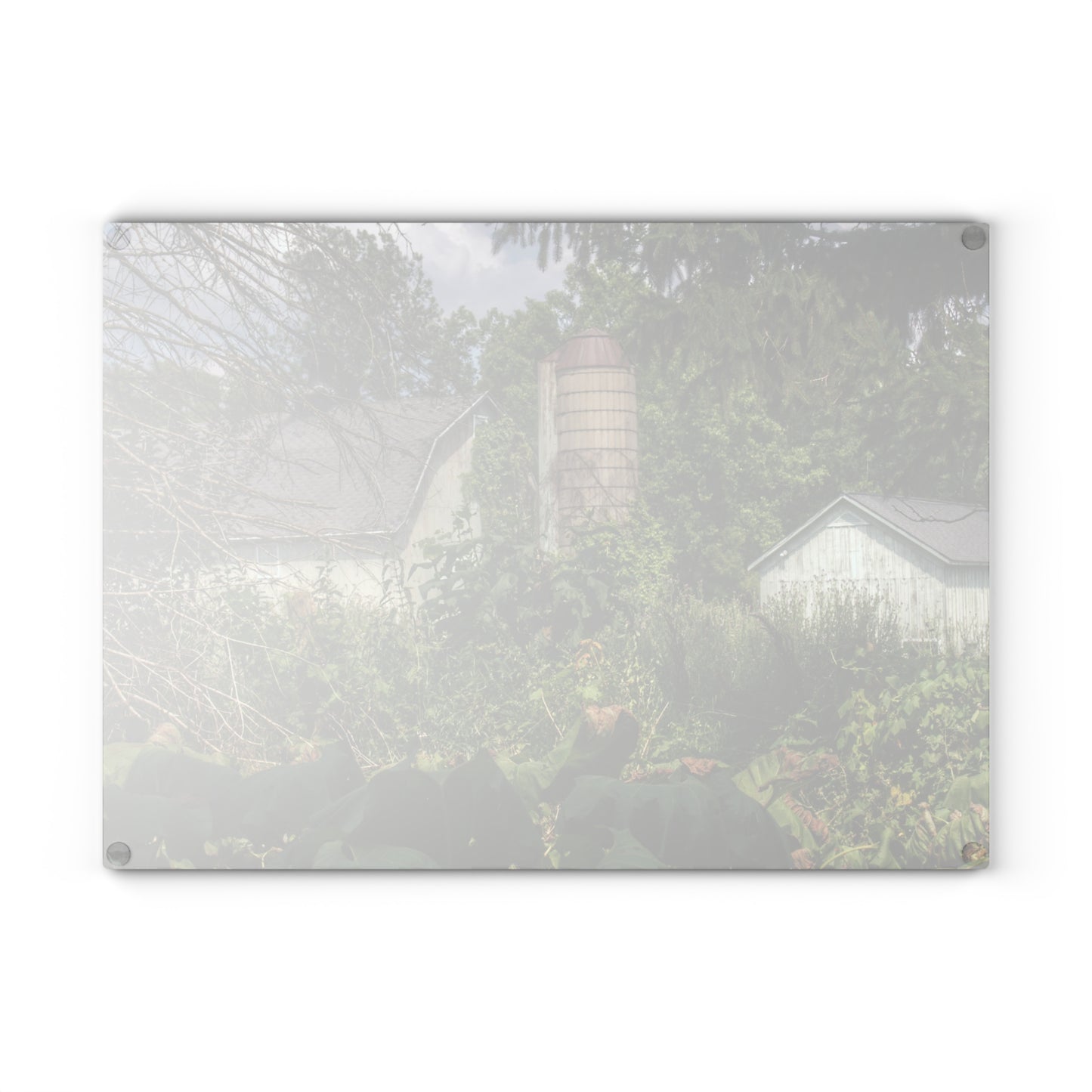 U R There Photography Clark Road Hidden Rustic Farmhouse Tempered-Glass Cutting Board