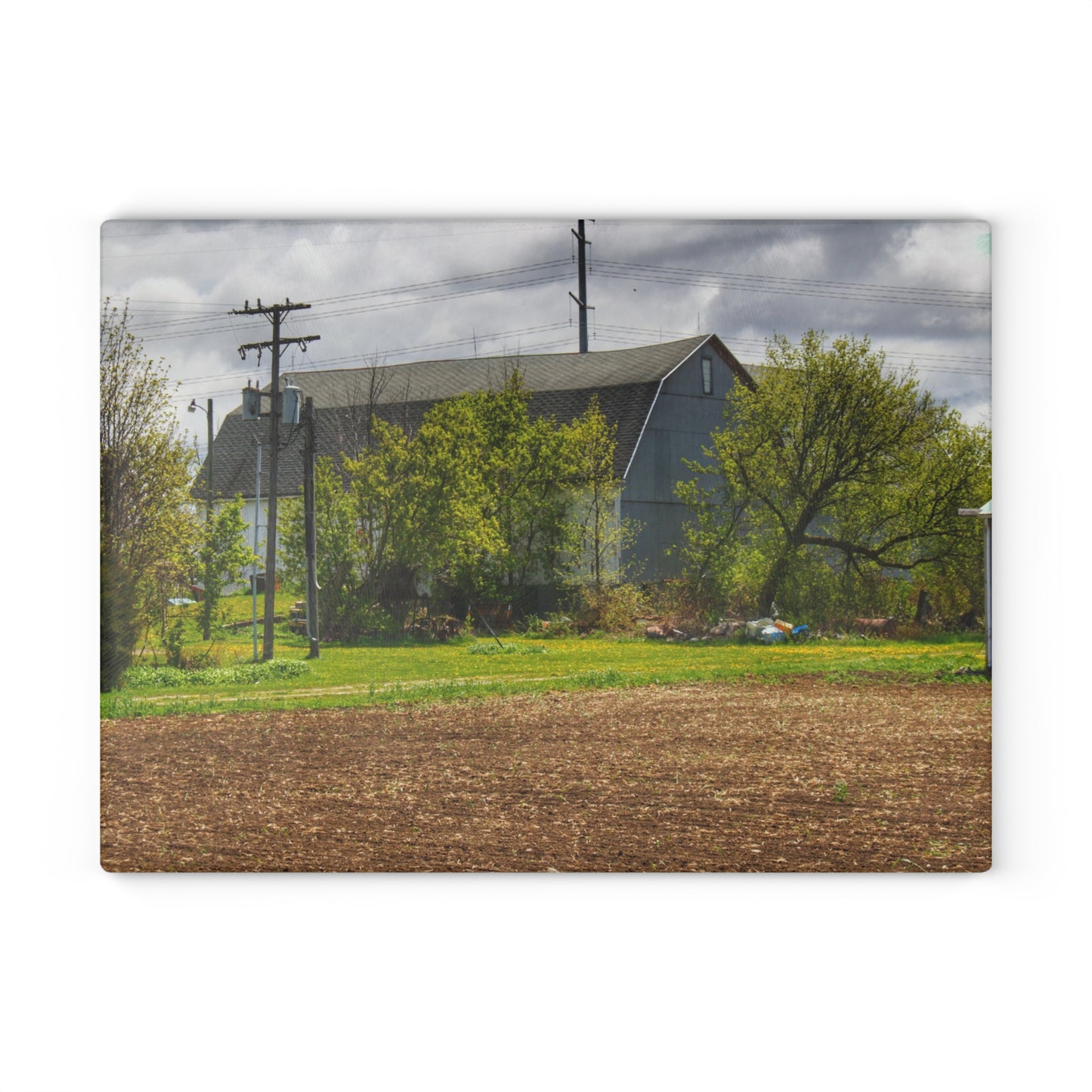 U R There Photography Rescue Road Old Grey Rustic Farmhouse Tempered-Glass Cutting Board