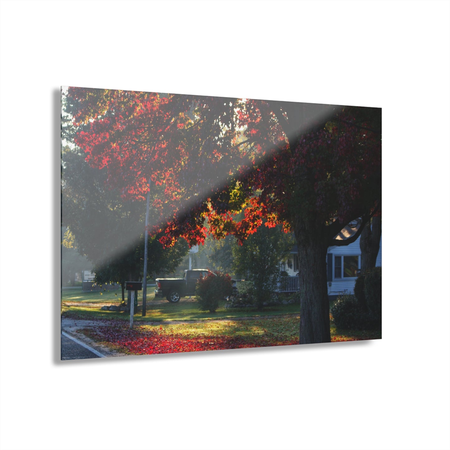 U R There Photography Red Crimson Leaves of Lum Rustic Farmhouse Acrylic Wall Print