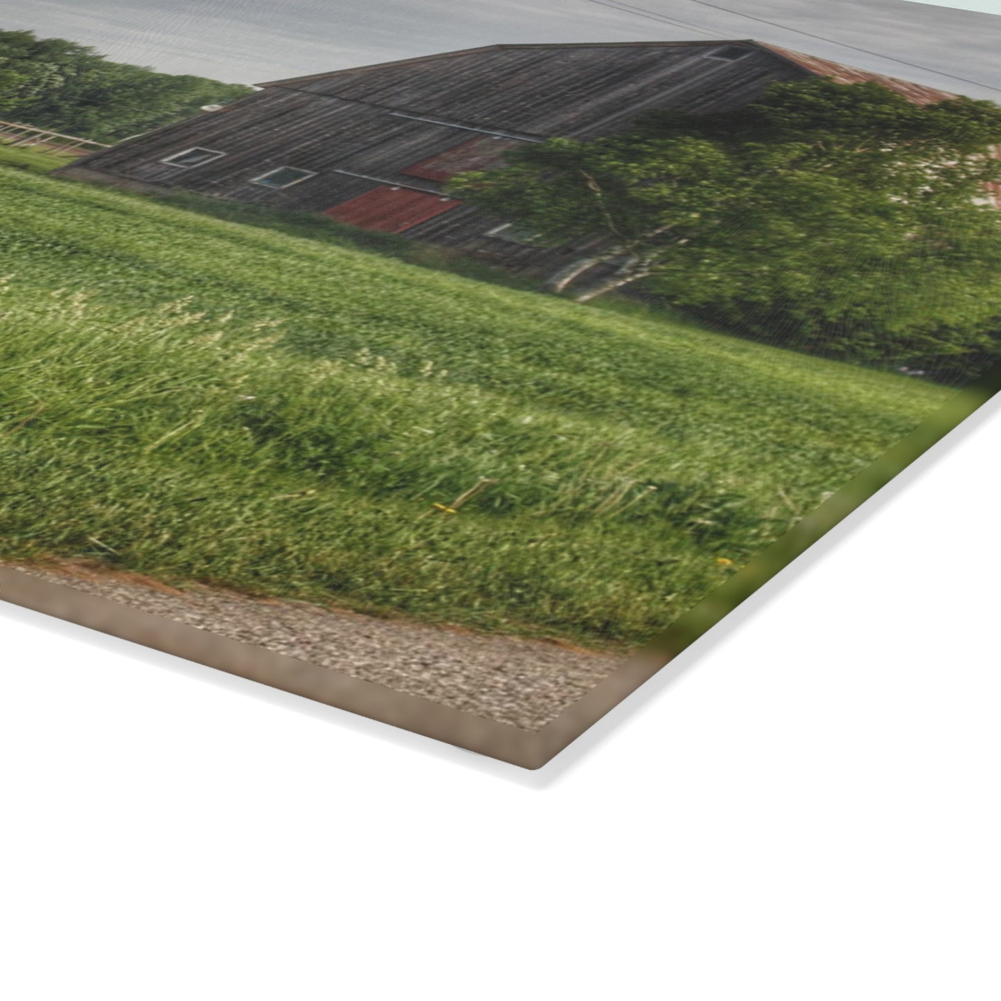 U R There Photography Barkley Road Trio Rustic Farmhouse Tempered-Glass Cutting Board