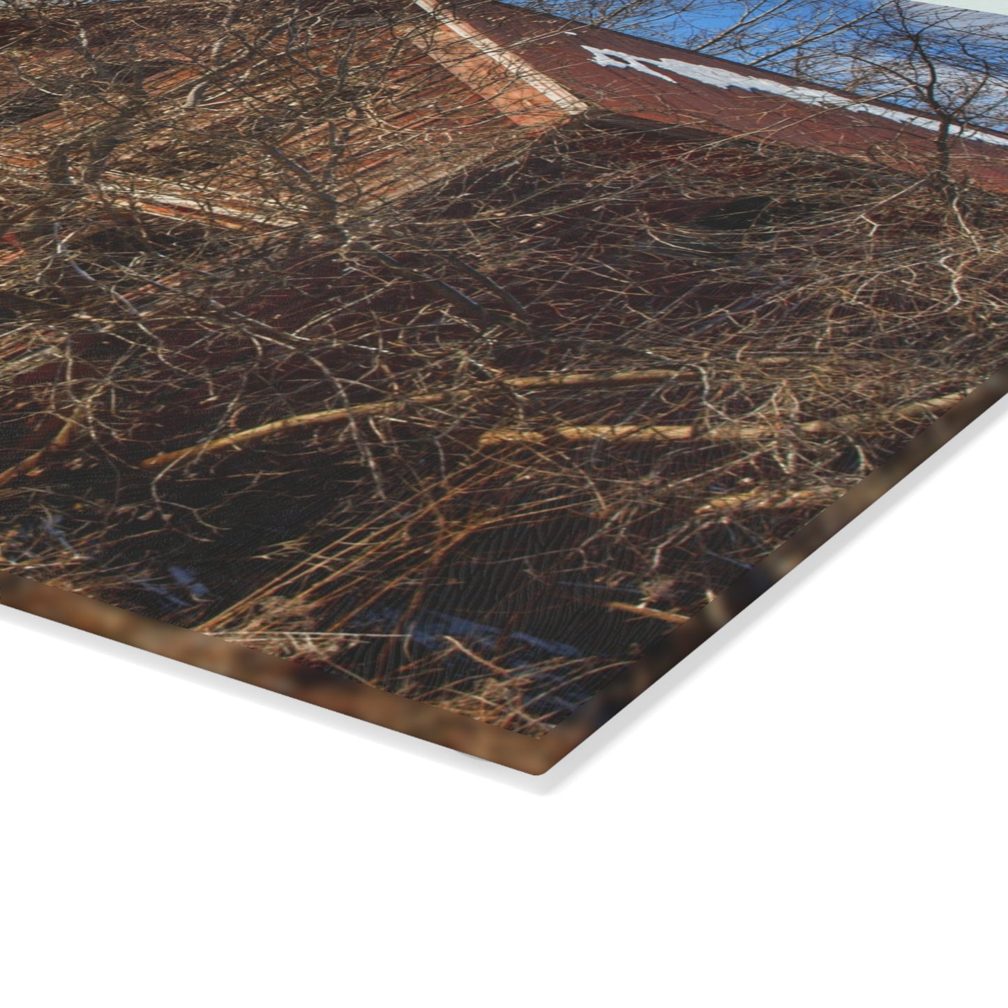 U R There Photography Buried Burnside Greys II Rustic Farmhouse Tempered-Glass Cutting Board