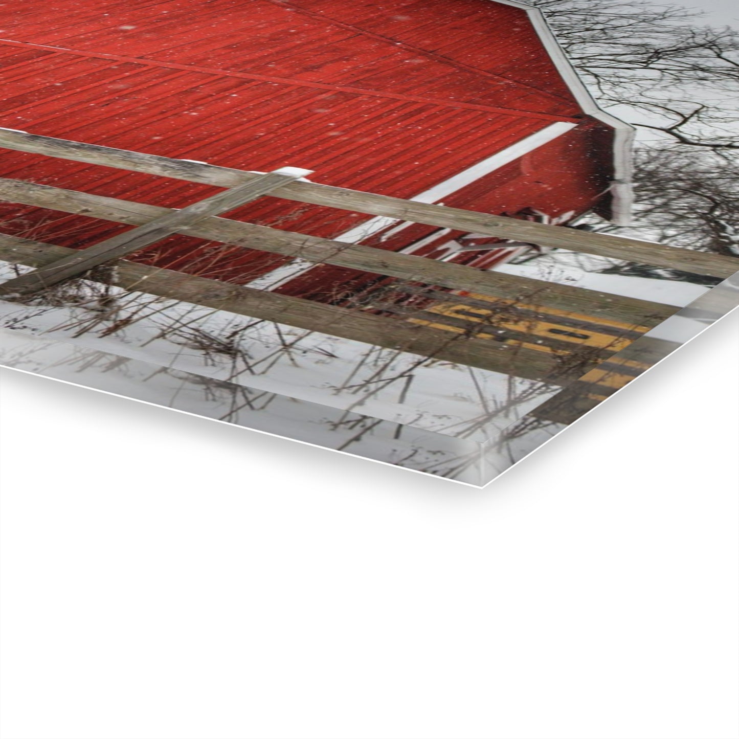 U R There Photography Big Red Beyond the Fence Rustic Farmhouse Acrylic Wall Print