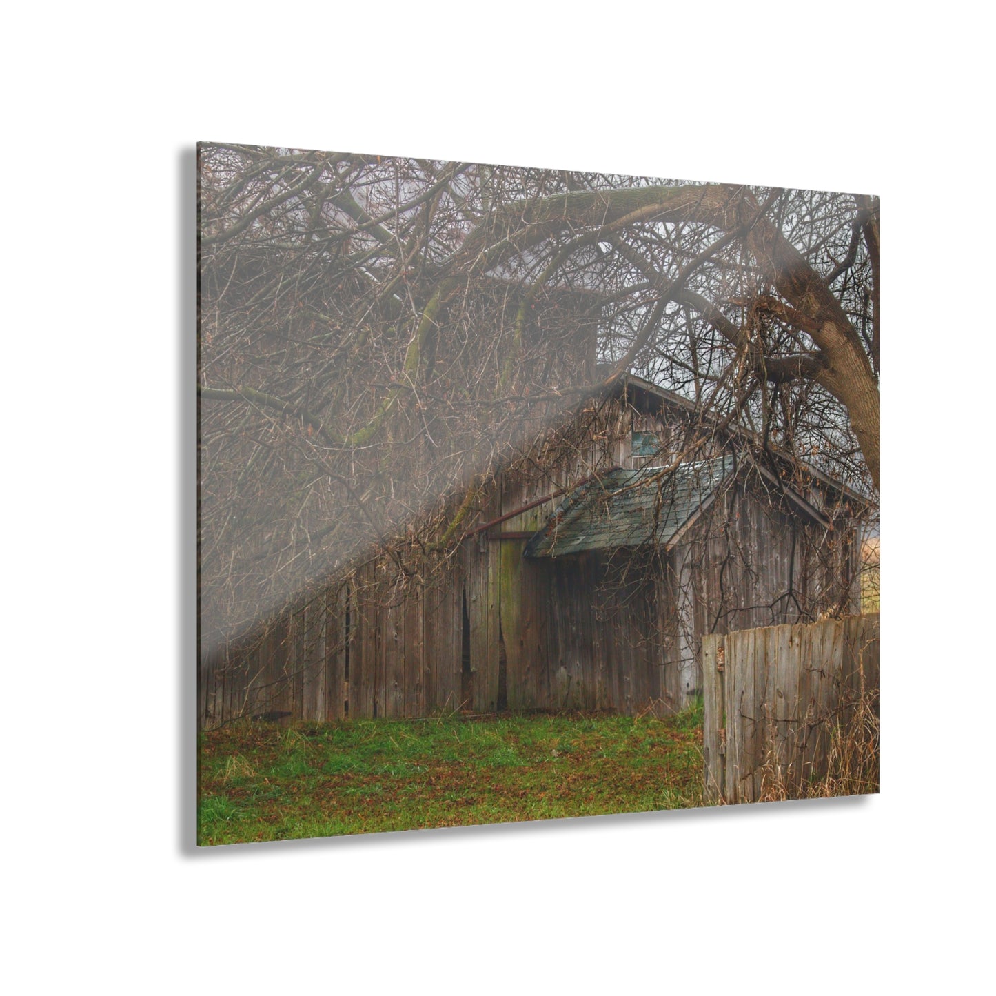 U R There Photography Bowers Road Greys III Rustic Farmhouse Acrylic Wall Print