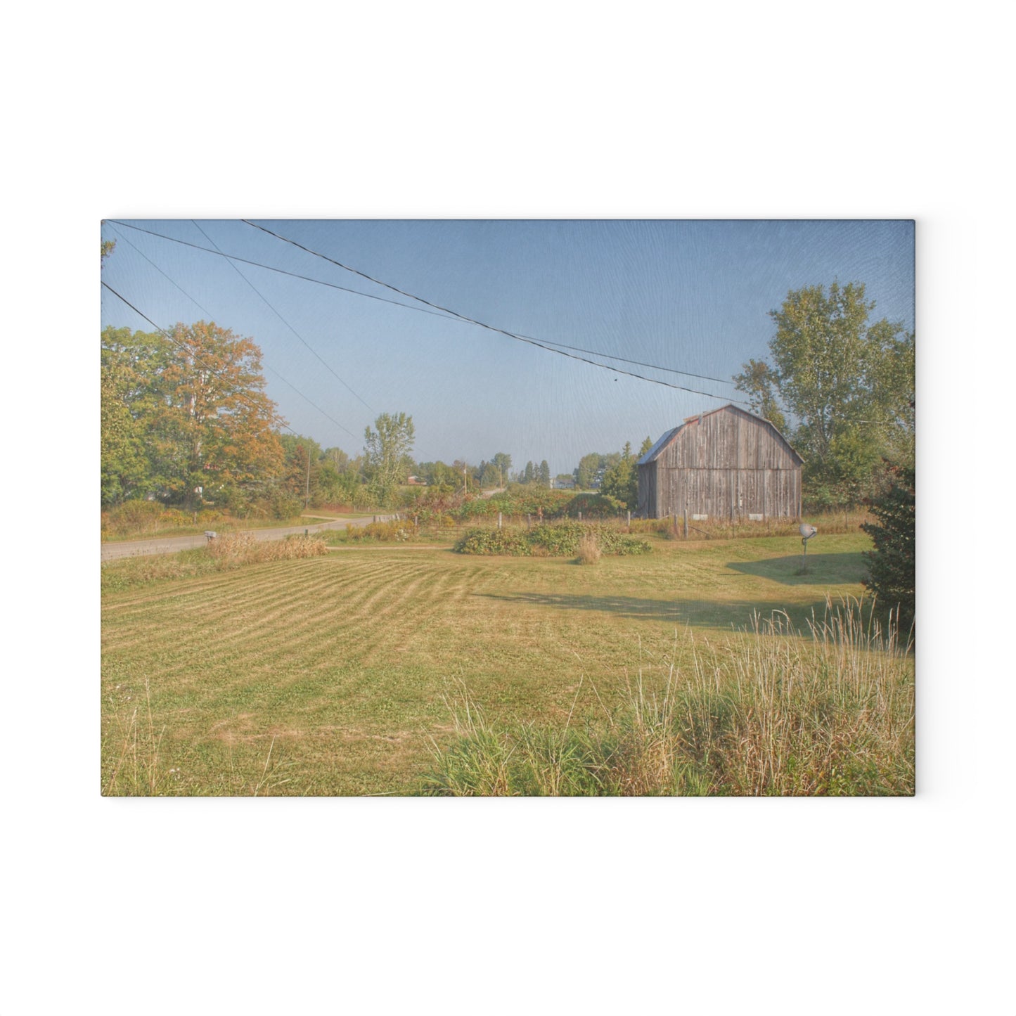 U R There Photography Snover Grey II Rustic Farmhouse Tempered-Glass Cutting Board