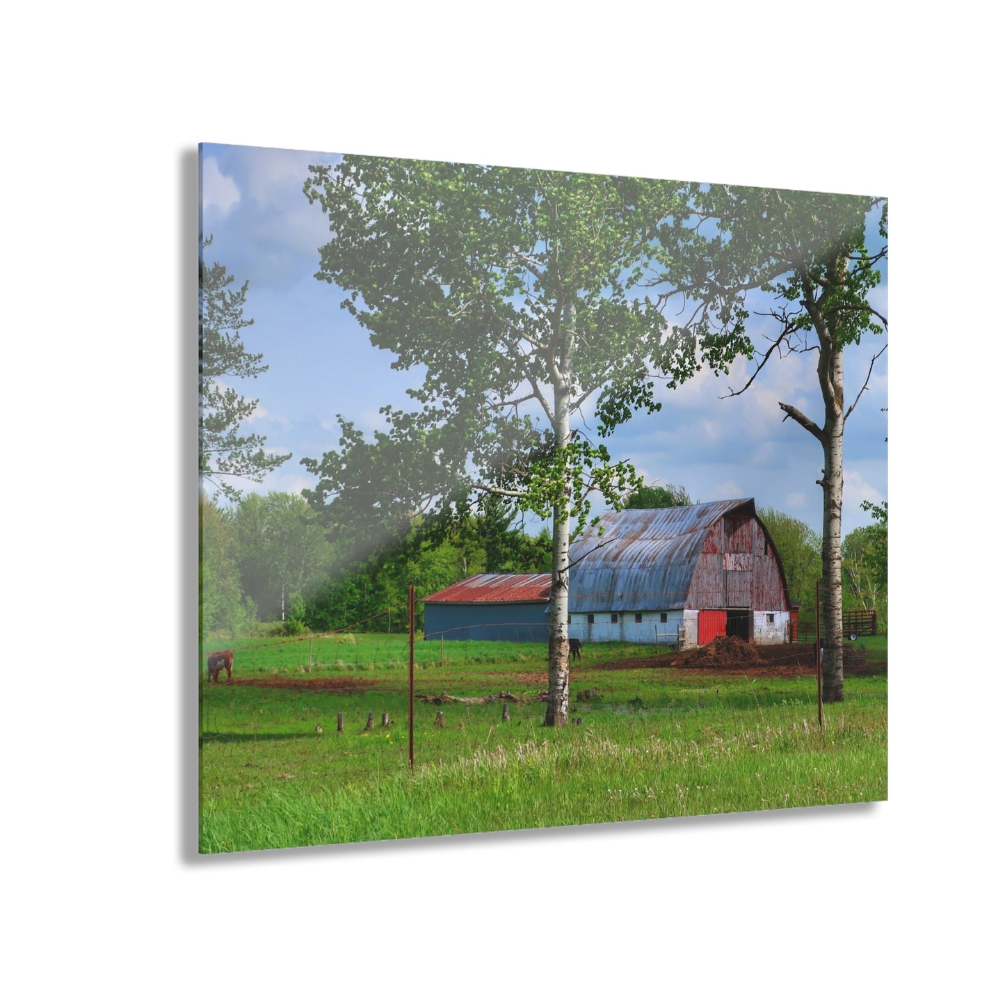 U R There Photography Shepard Road Hillman Red Rustic Farmhouse Acrylic Wall Print