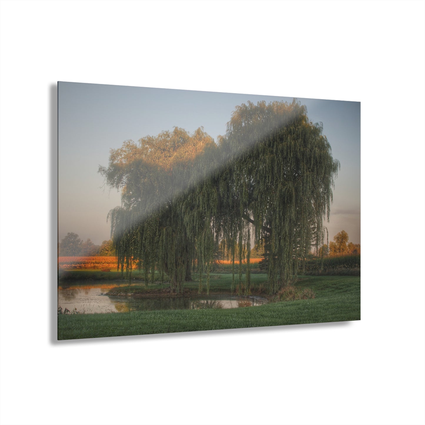 U R There Photography Sunrise on Willow Pond I Rustic Farmhouse Acrylic Wall Print