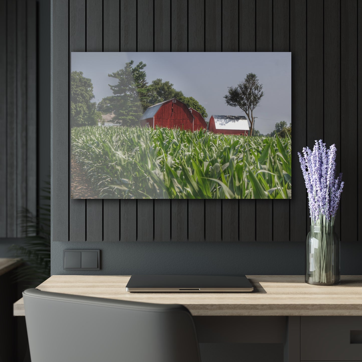 U R There Photography Shoemaker Reds Rustic Farmhouse Acrylic Wall Print