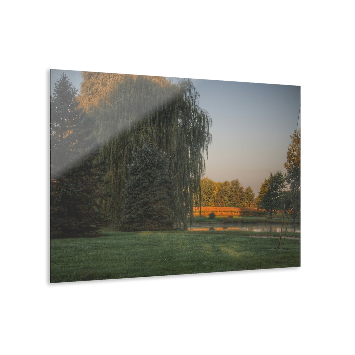 U R There Photography Sunrise on Willow Pond II Rustic Farmhouse Acrylic Wall Print