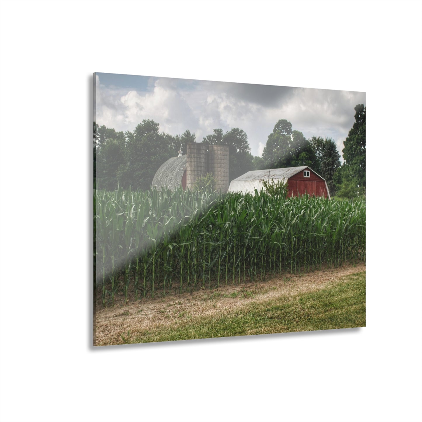 U R There Photography Scotch Settlement Reds Rustic Farmhouse Acrylic Wall Print