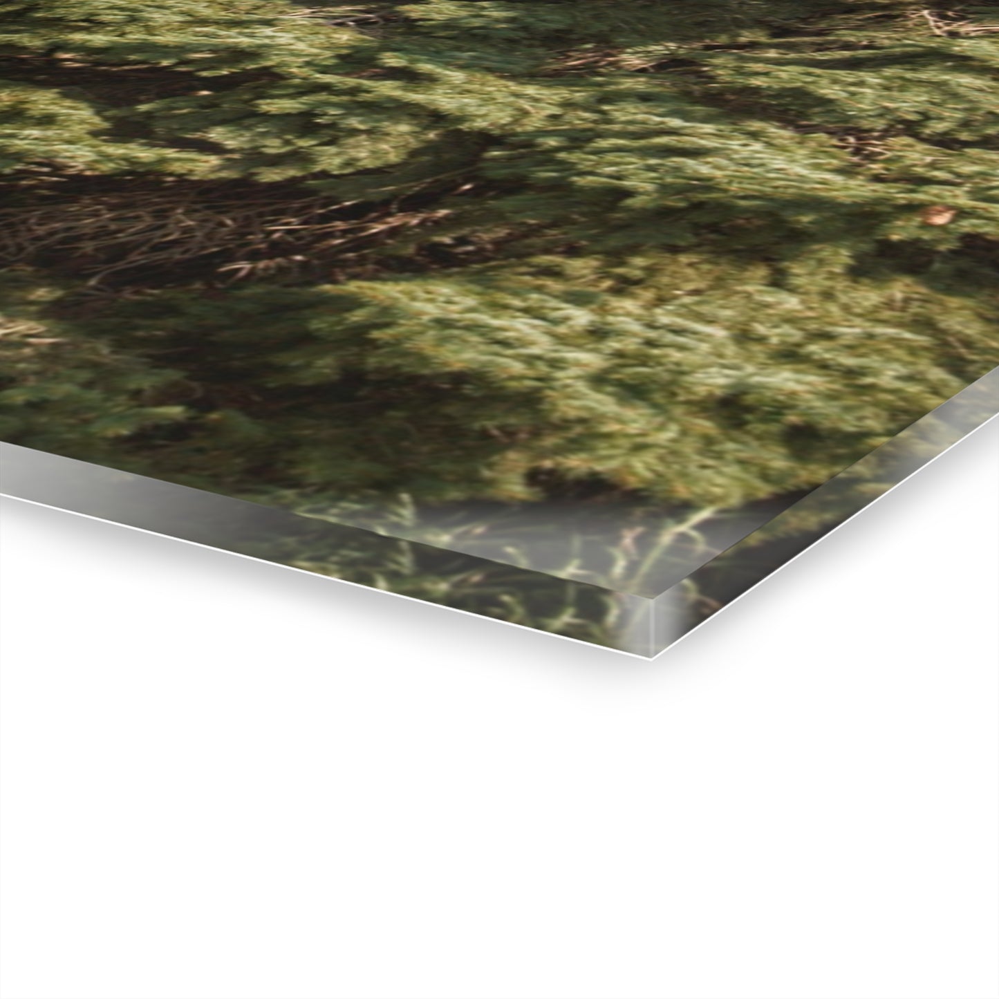 U R There Photography Roadside Grey of Vassar Rustic Farmhouse Acrylic Wall Print