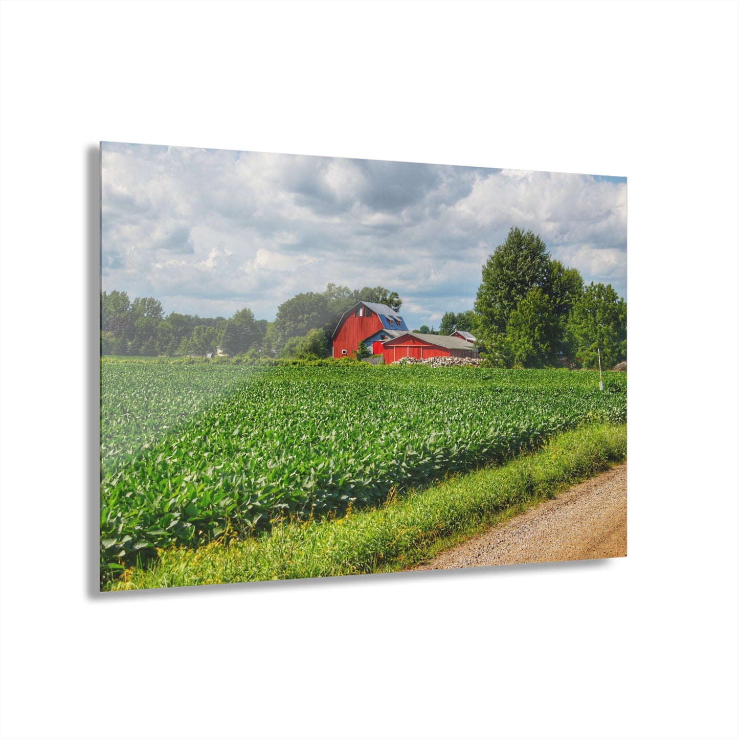 U R There Photography Block Road Reds Rustic Farmhouse Acrylic Wall Print
