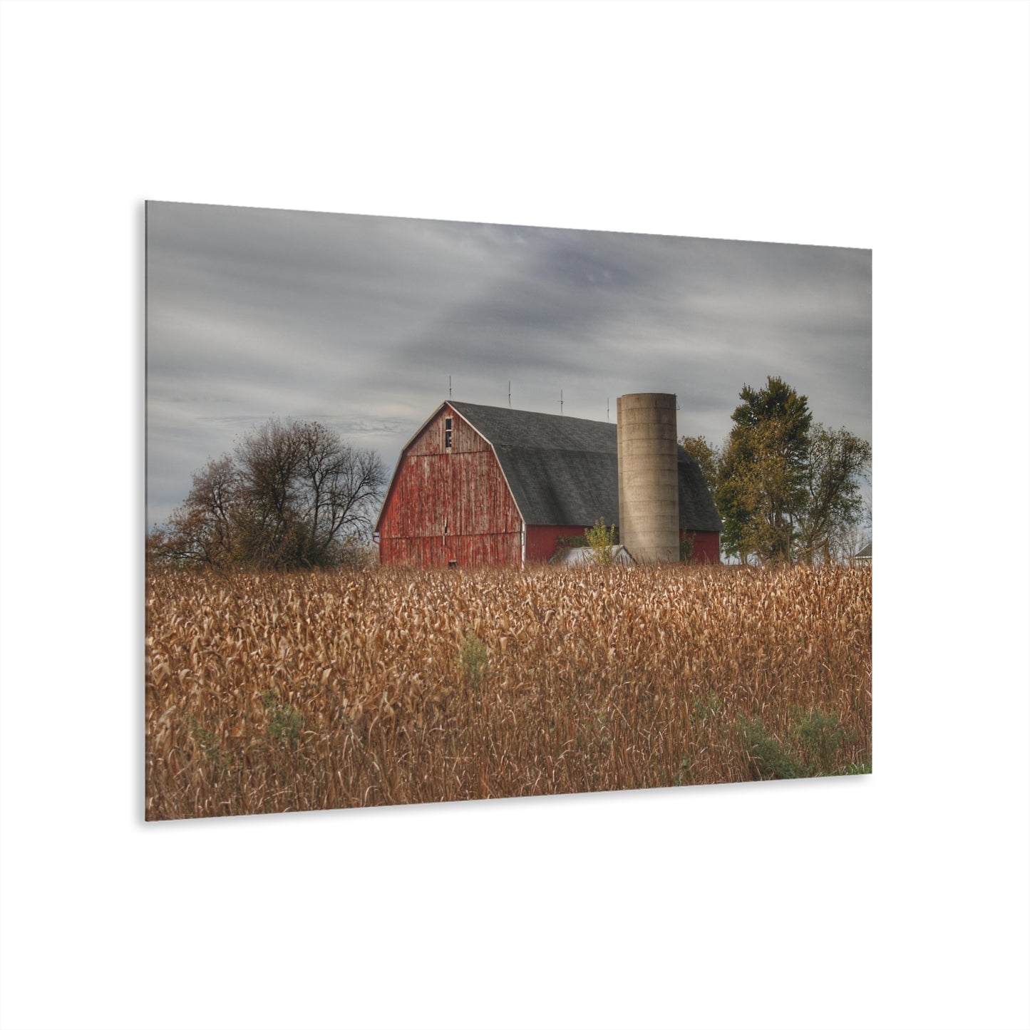 U R There Photography Shepard Road Red Rustic Farmhouse Acrylic Wall Print