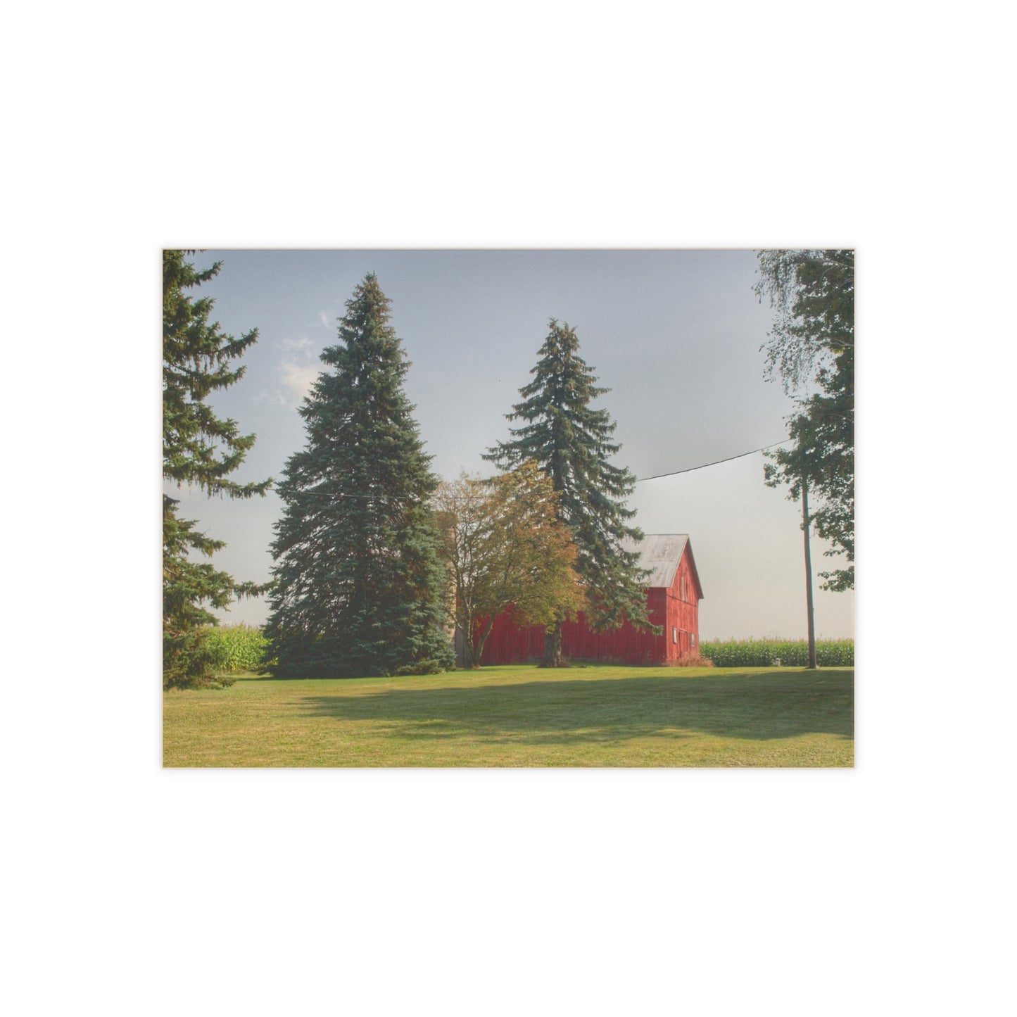 Rustic Farmhouse Wall Tile featuring Small Red Barn Beneath the Pines