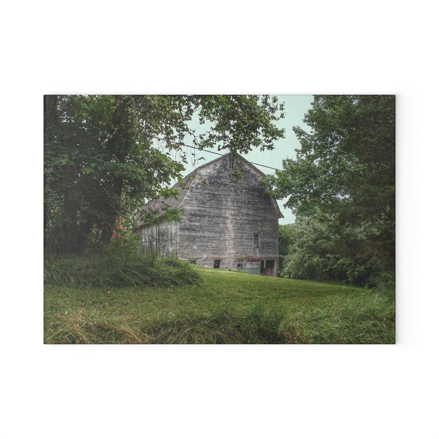 U R There Photography Snell Grey Rustic Farmhouse Tempered-Glass Cutting Board