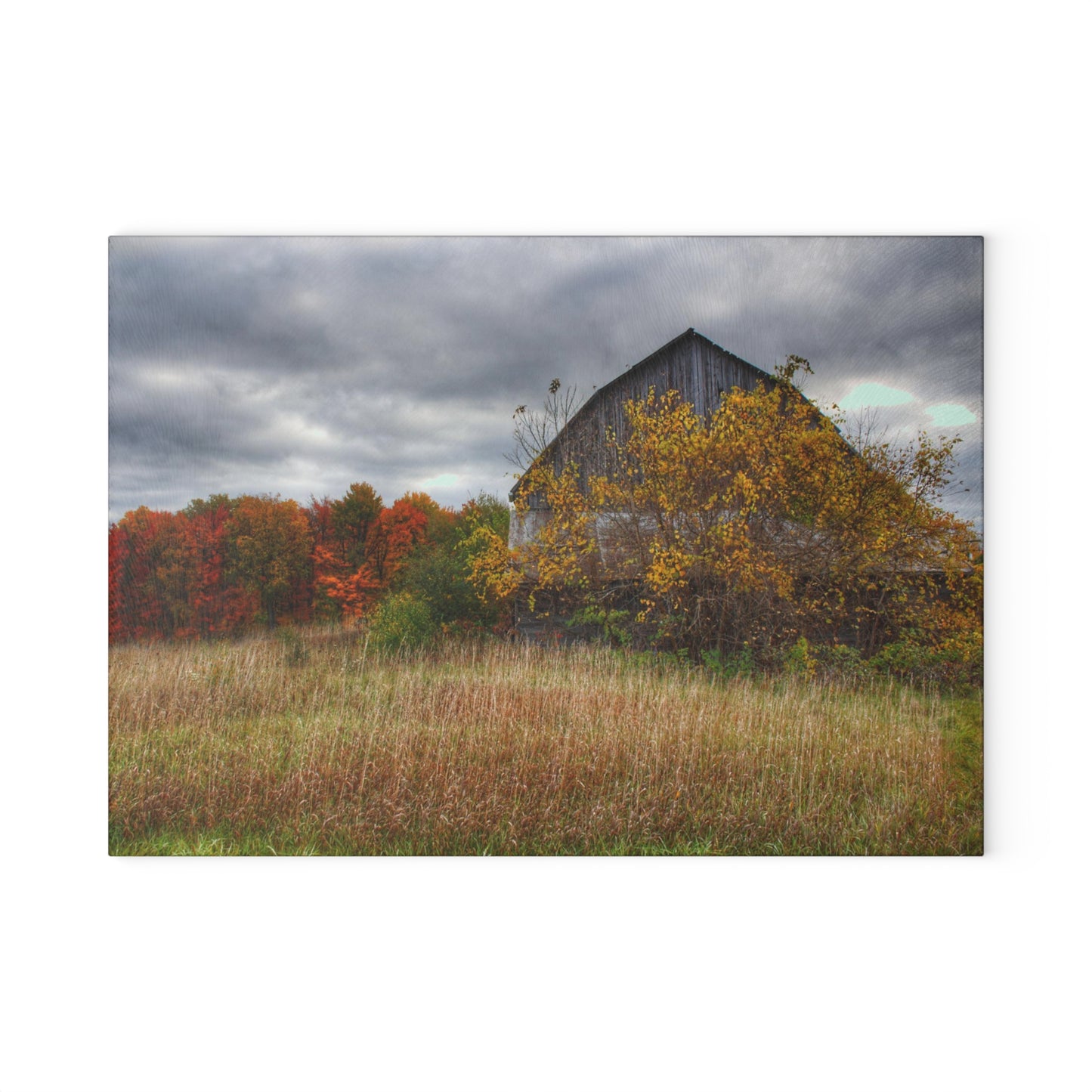 U R There Photography Church Road Grey III Rustic Farmhouse Tempered-Glass Cutting Board