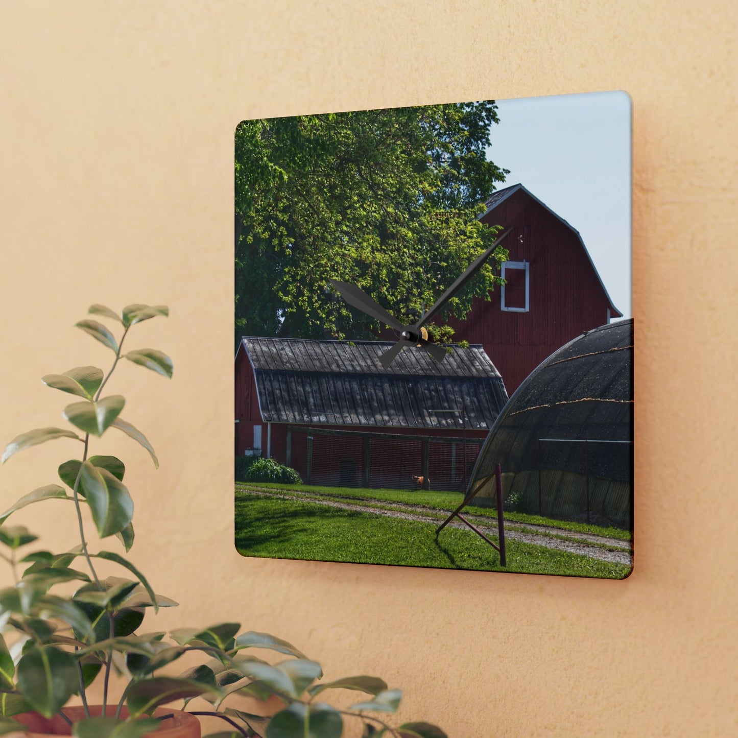 U R There Photography Hidden Reds Rustic Farmhouse Acrylic Analog Wall Clock
