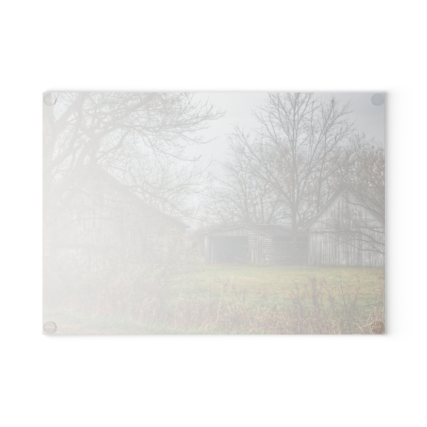 U R There Photography Bowers Road Greys IV Rustic Farmhouse Tempered-Glass Cutting Board