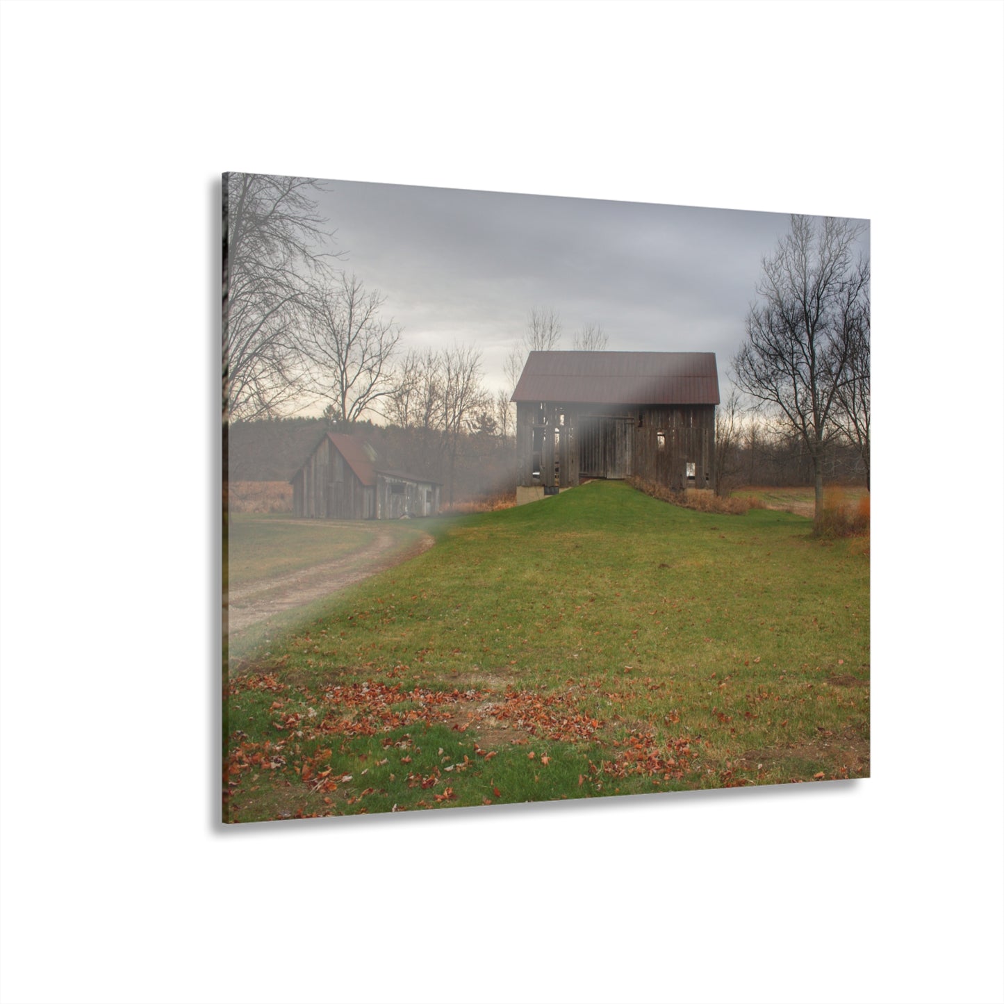 U R There Photography Roadside Greys of Carsonville Rustic Farmhouse Acrylic Wall Print