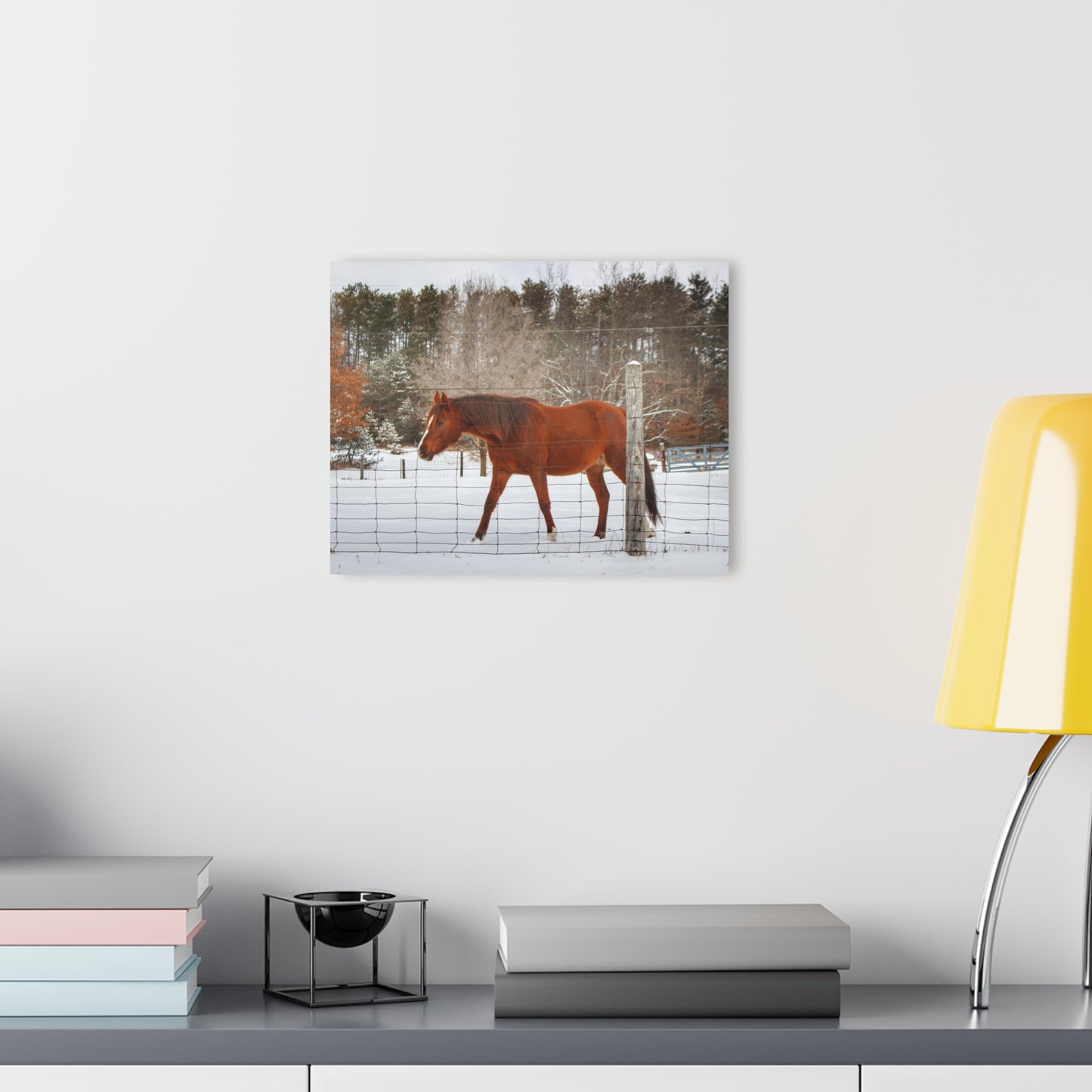 U R There Photography Roadside Chestnut Rustic Farmhouse Acrylic Wall Print
