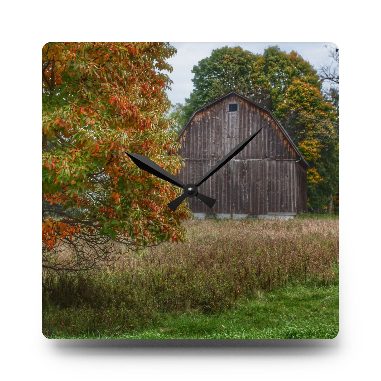 U R There Photography Mount Morris Road Grey in the Fall Rustic Farmhouse Acrylic Analog Wall Clock
