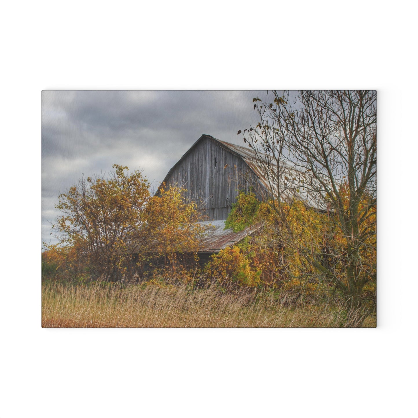 U R There Photography Church Road Grey IV Rustic Farmhouse Tempered-Glass Cutting Board