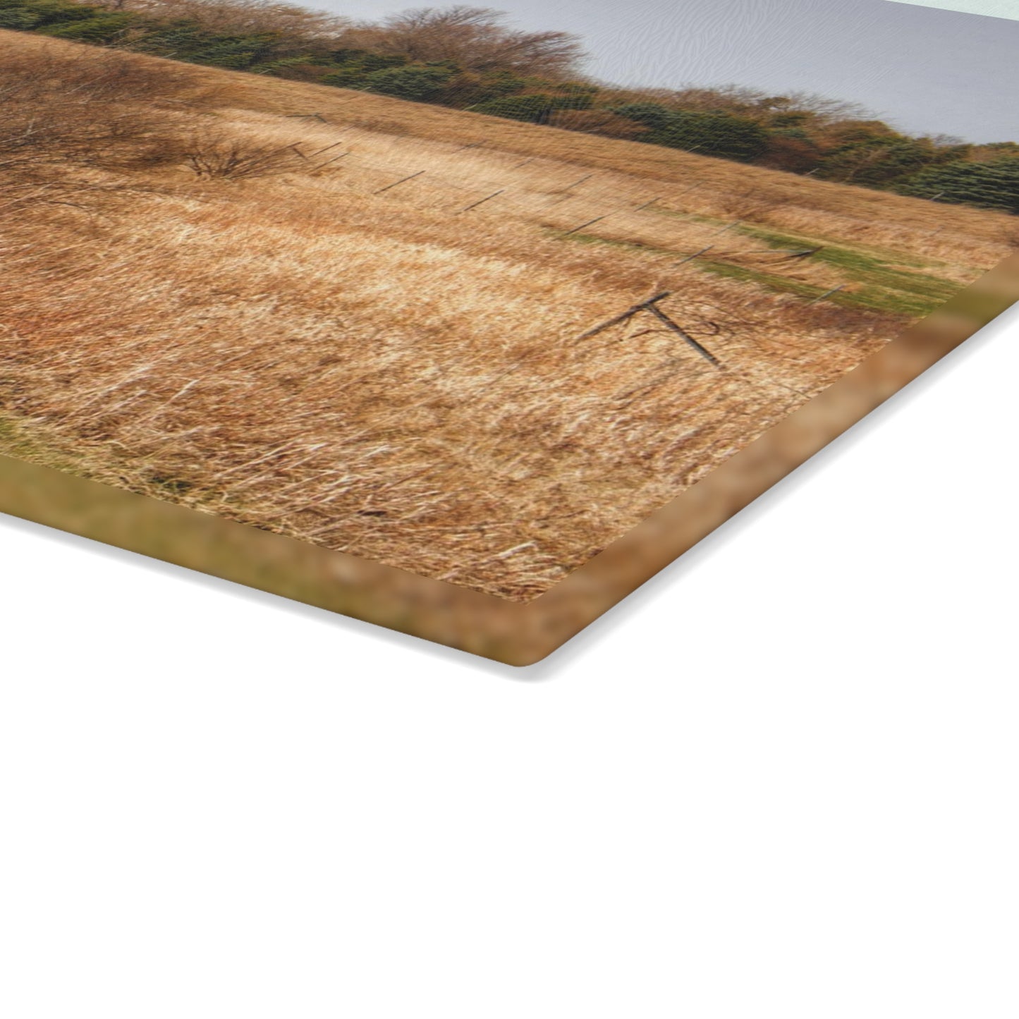U R There Photography Beyond the Short Pines Rustic Farmhouse Tempered-Glass Cutting Board