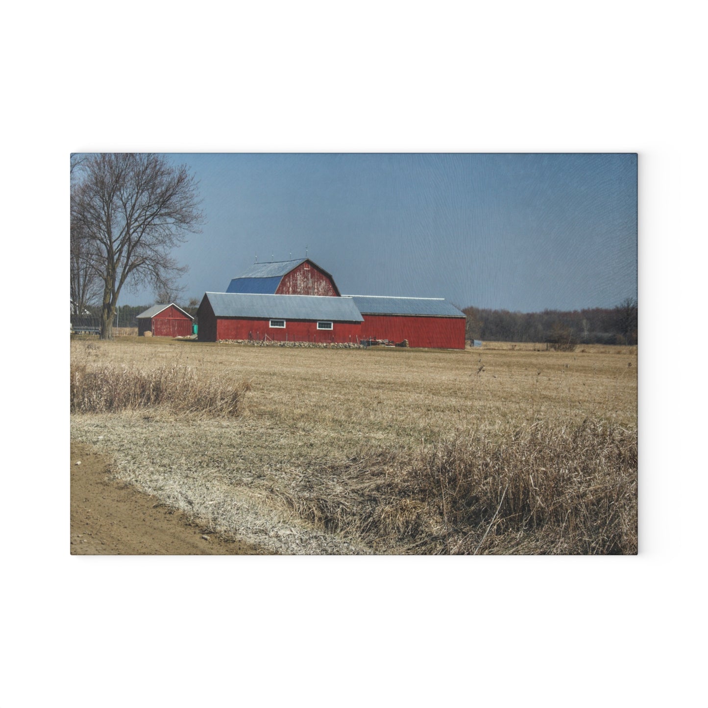 U R There Photography Romeo Plank Road Reds II Rustic Farmhouse Tempered-Glass Cutting Board