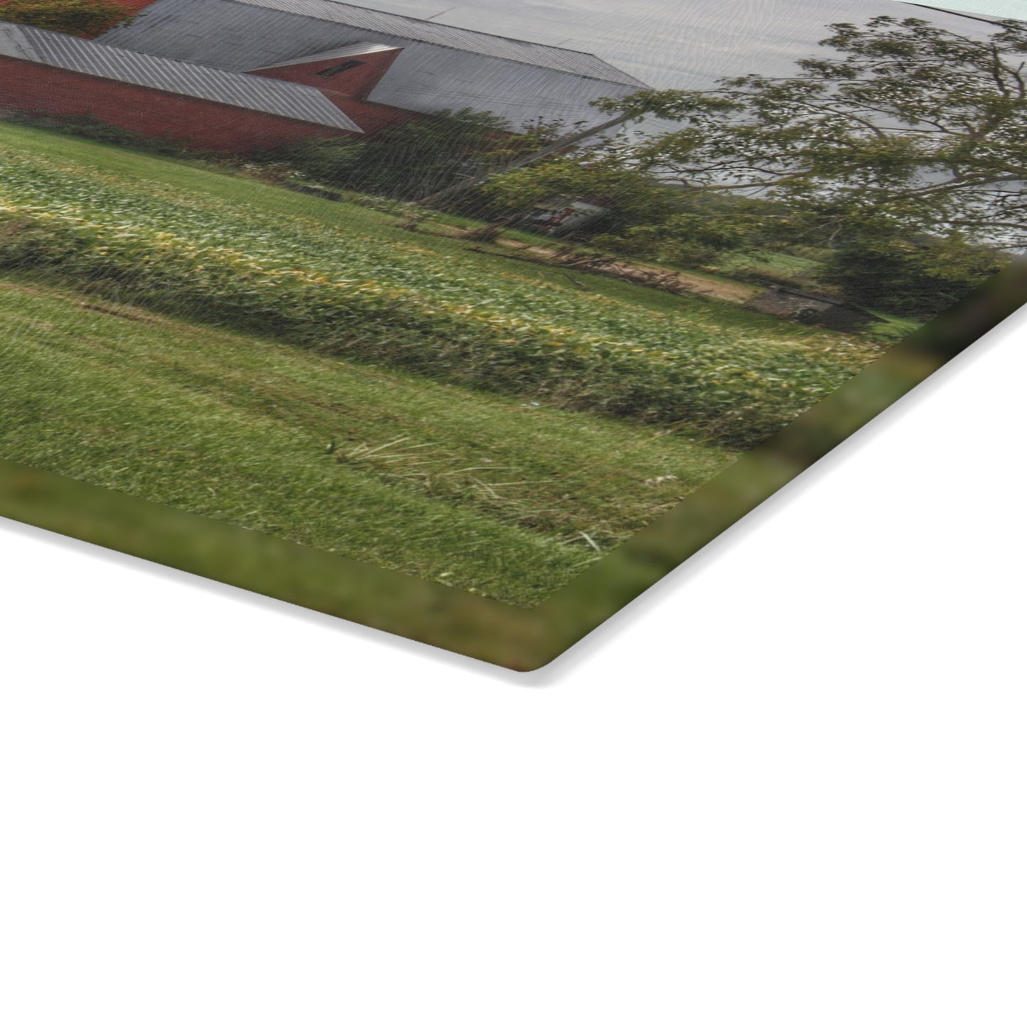 U R There Photography West Dodge Road Reds Rustic Farmhouse Tempered-Glass Cutting Board