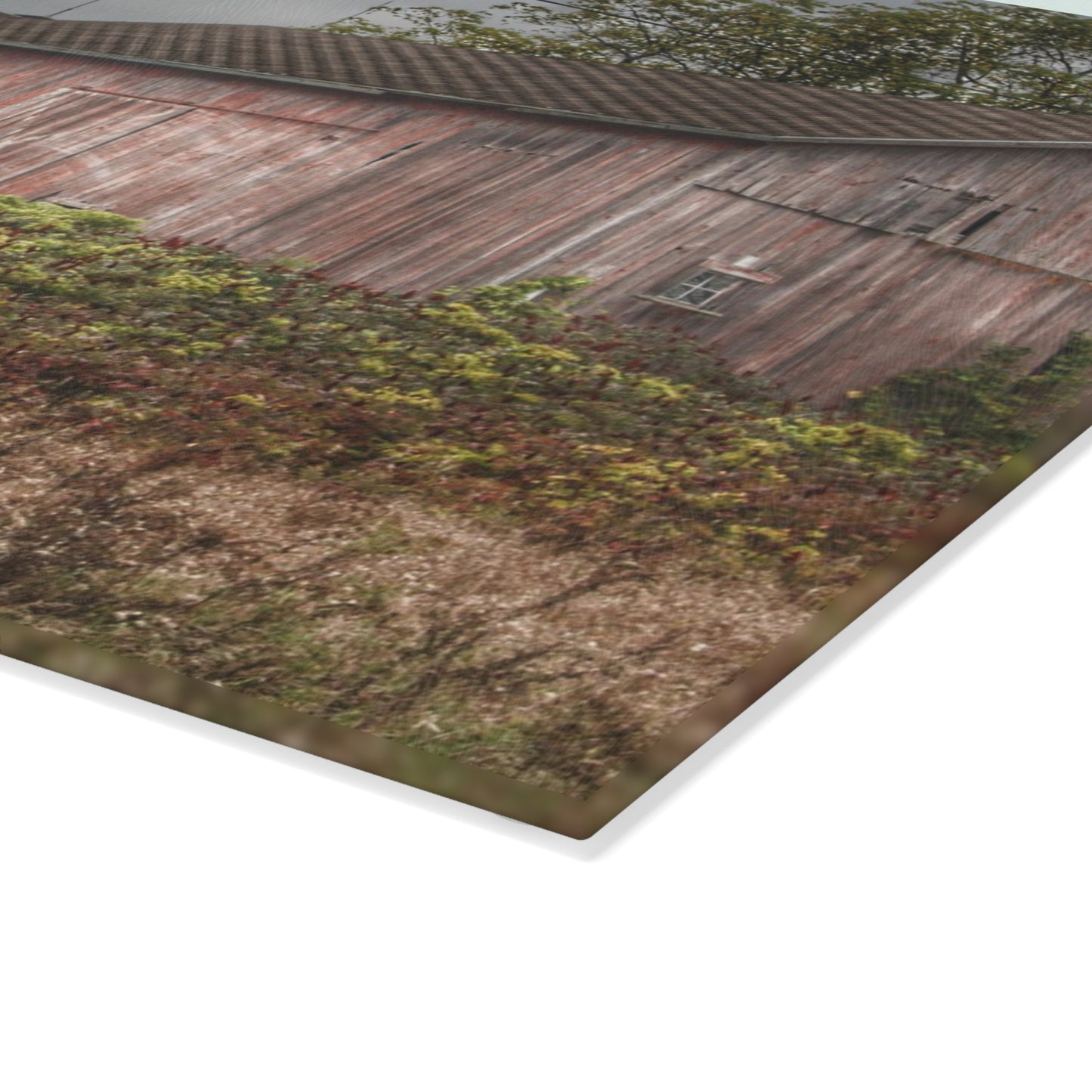 U R There Photography Washburn Reds Rustic Farmhouse Tempered-Glass Cutting Board