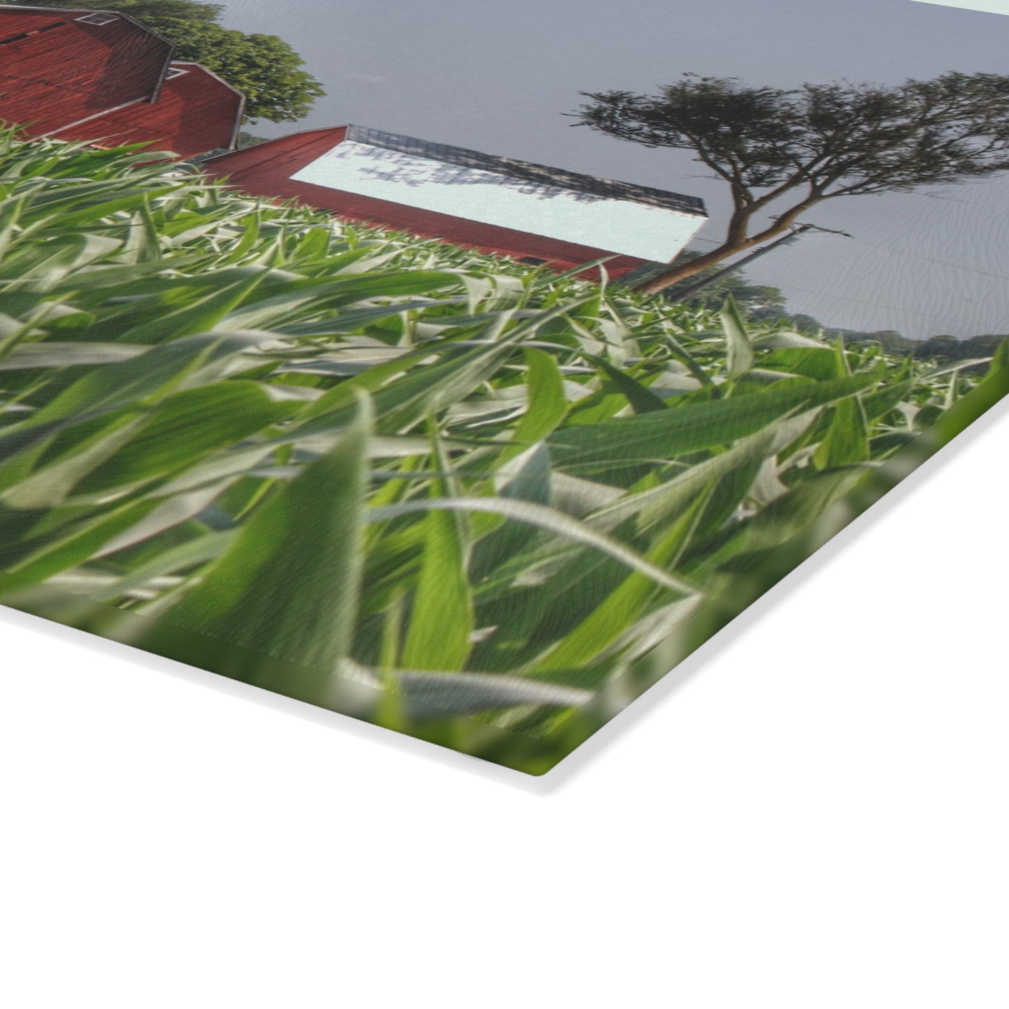 U R There Photography Shoemaker Reds Rustic Farmhouse Tempered-Glass Cutting Board