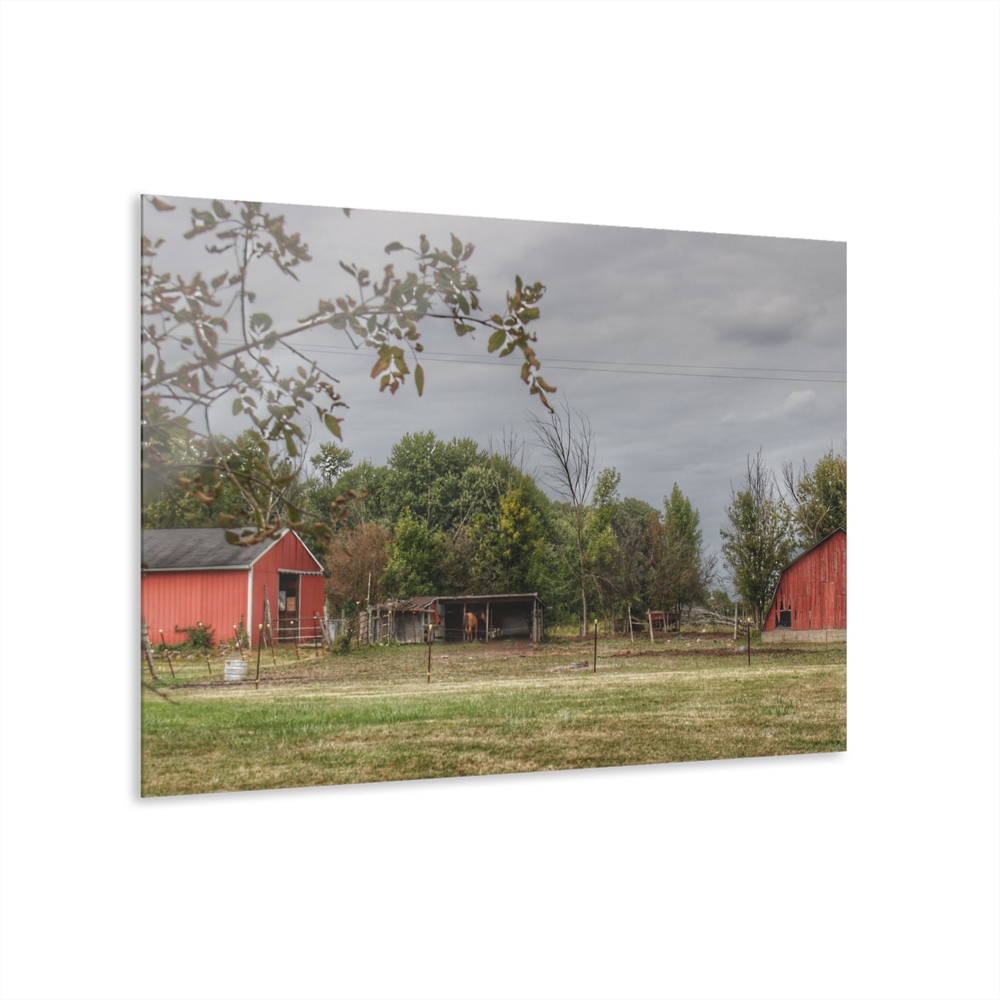 U R There Photography Petz Road Farm Rustic Farmhouse Acrylic Wall Print