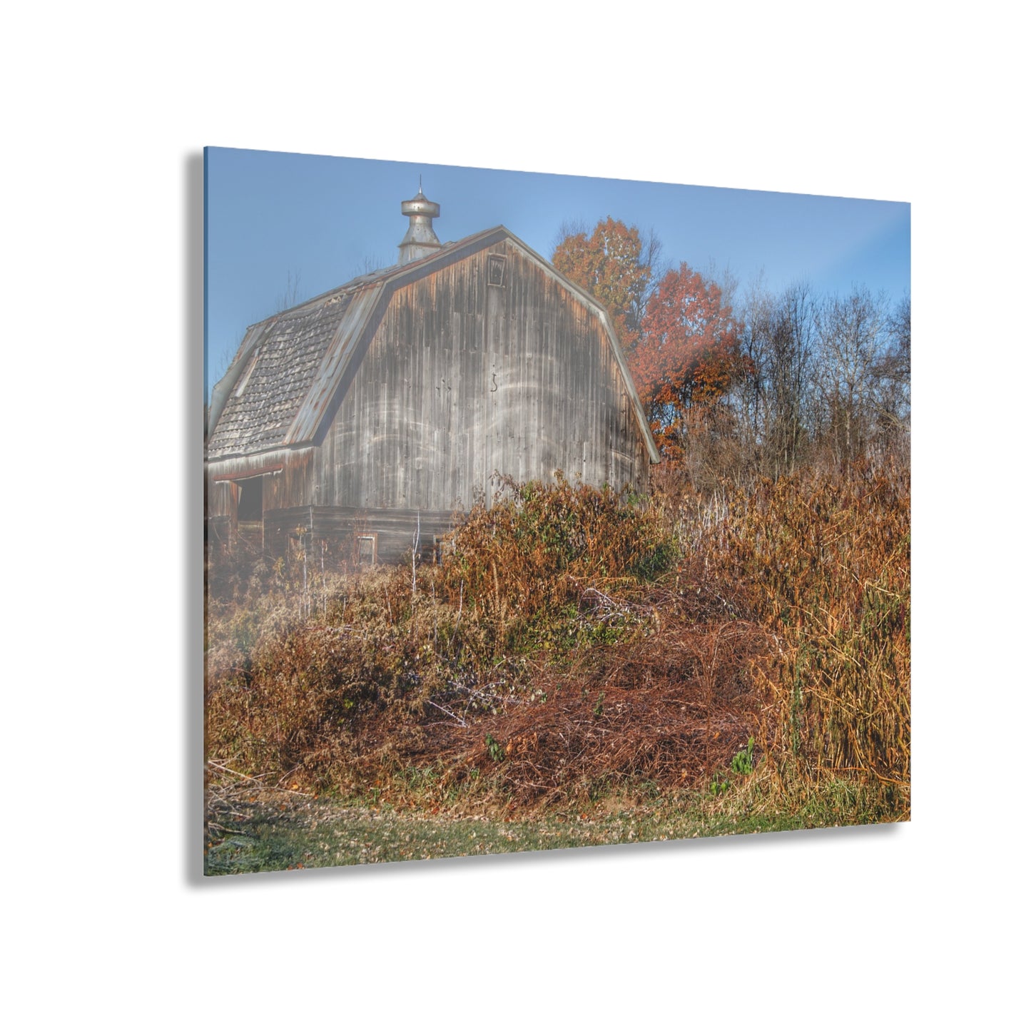 U R There Photography Vassar Road Hidden Grey II Rustic Farmhouse Acrylic Wall Print