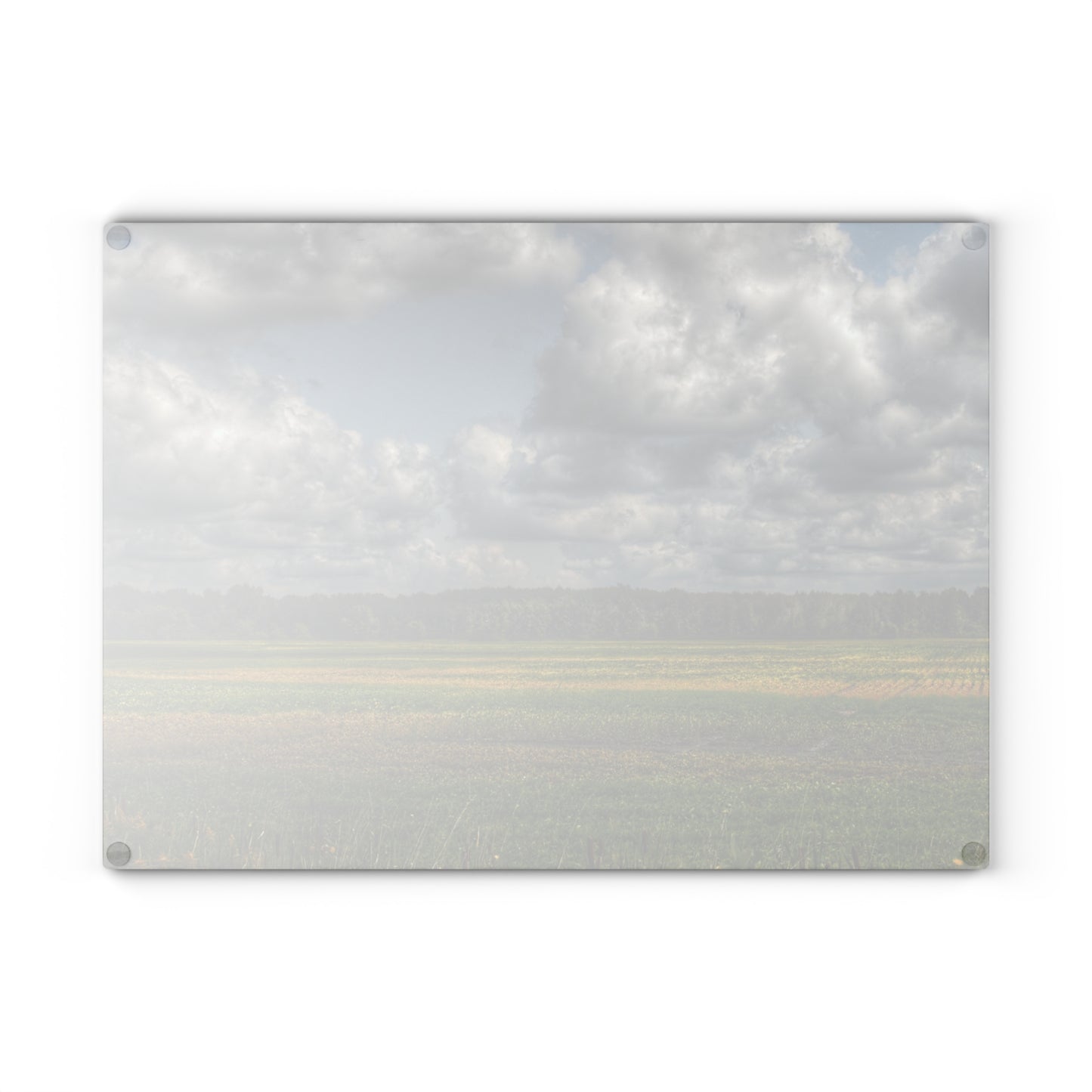 U R There Photography Skies of September Rustic Farmhouse Tempered-Glass Cutting Board