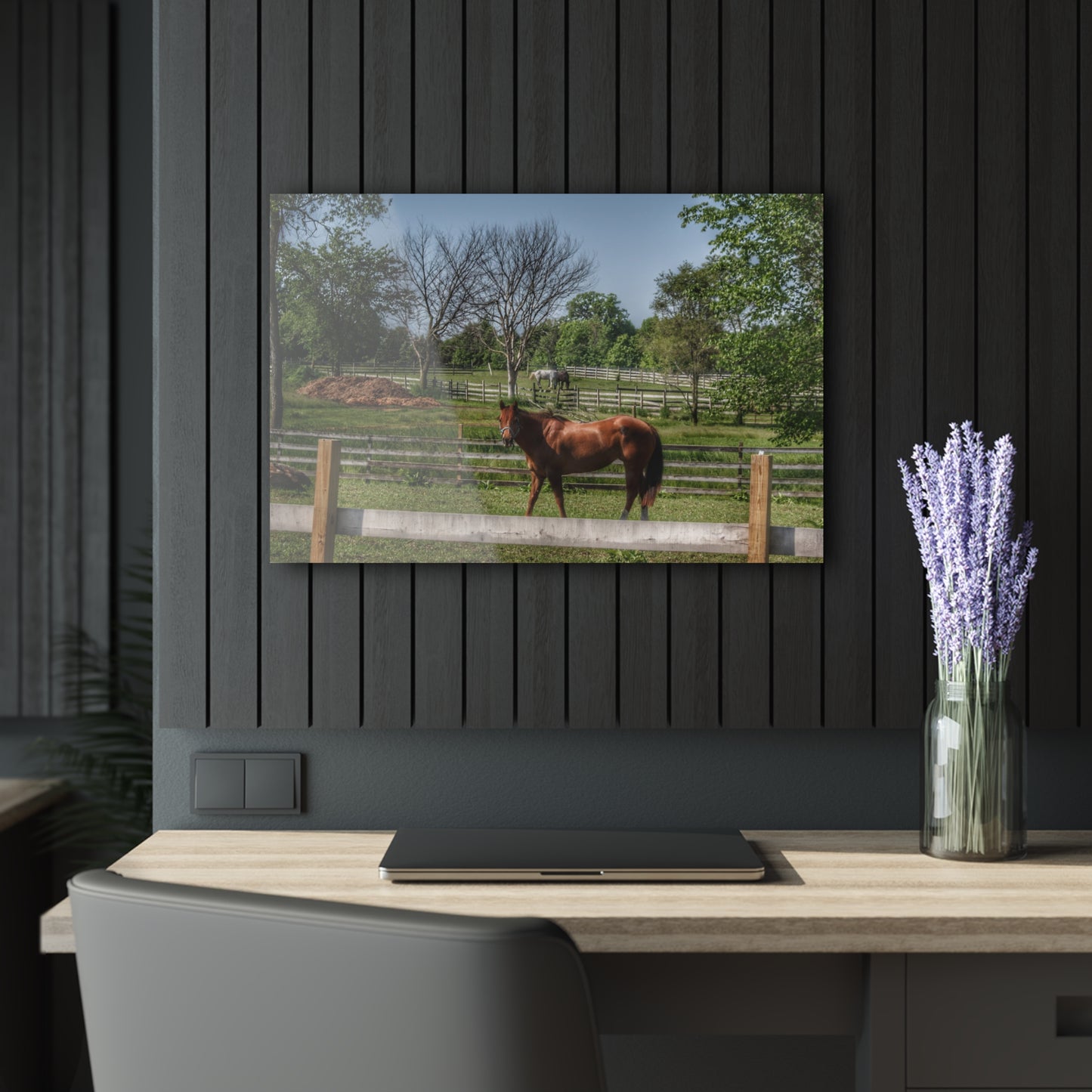 U R There Photography Summer Road Ponies Rustic Farmhouse Acrylic Wall Print