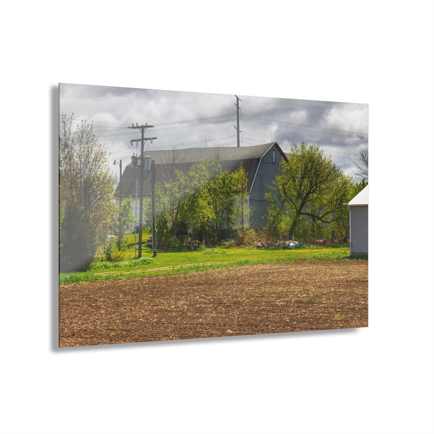 U R There Photography Rescue Road Old Grey Rustic Farmhouse Acrylic Wall Print