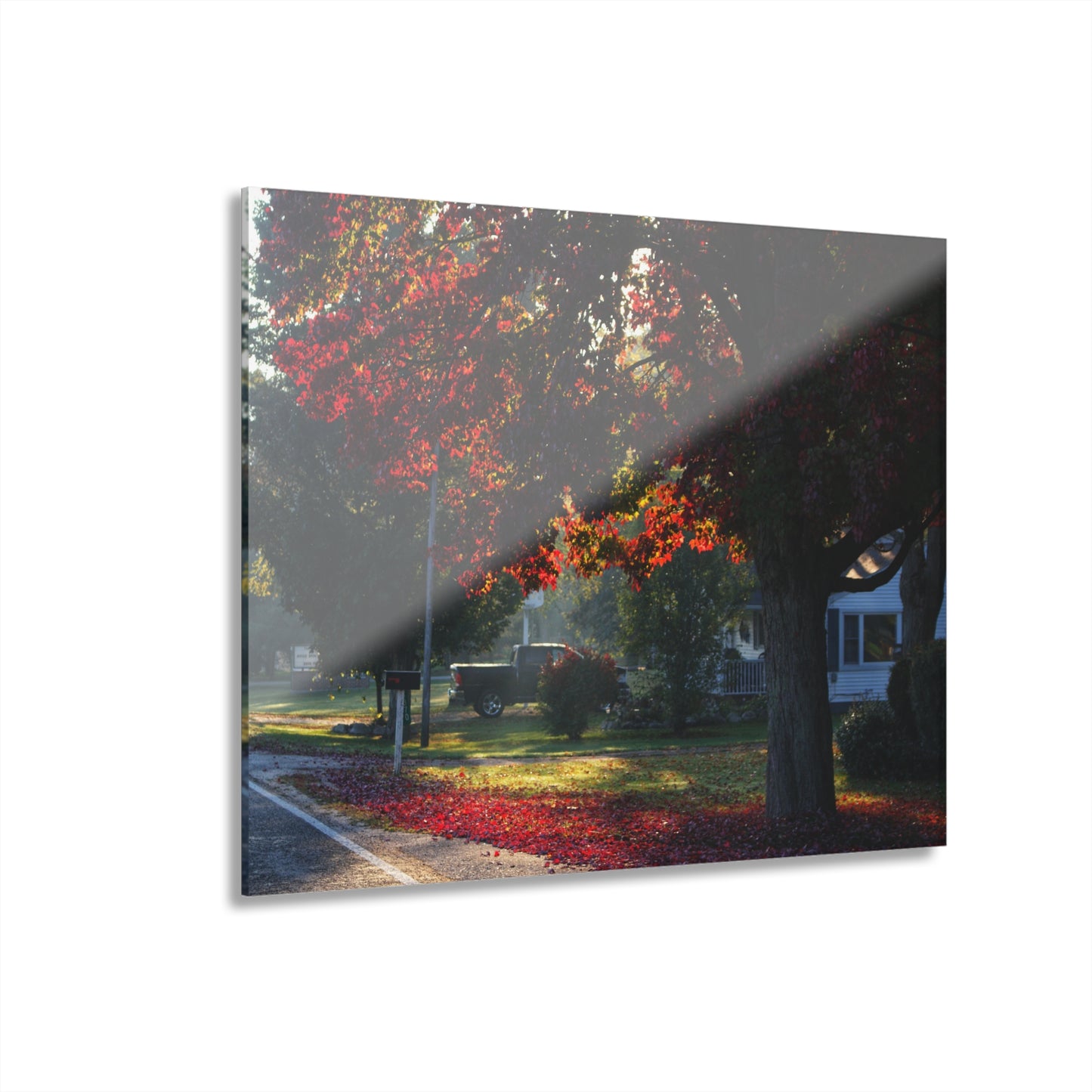 U R There Photography Red Crimson Leaves of Lum Rustic Farmhouse Acrylic Wall Print