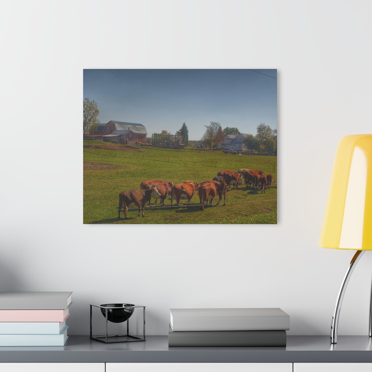 U R There Photography Plain Road Farm and Cows Rustic Farmhouse Acrylic Wall Print