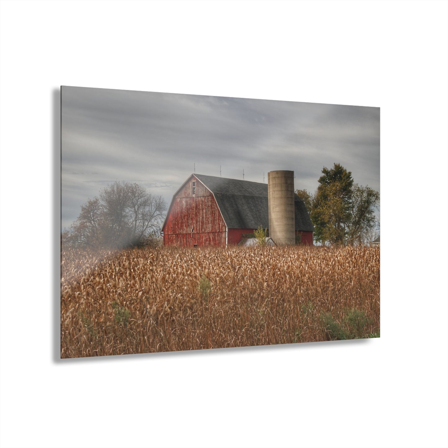 U R There Photography Shepard Road Red Rustic Farmhouse Acrylic Wall Print