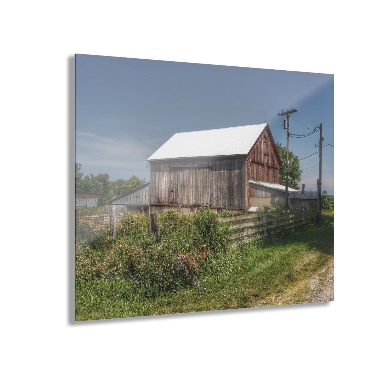 U R There Photography Castle Road Cow Barn I Rustic Farmhouse Acrylic Wall Print