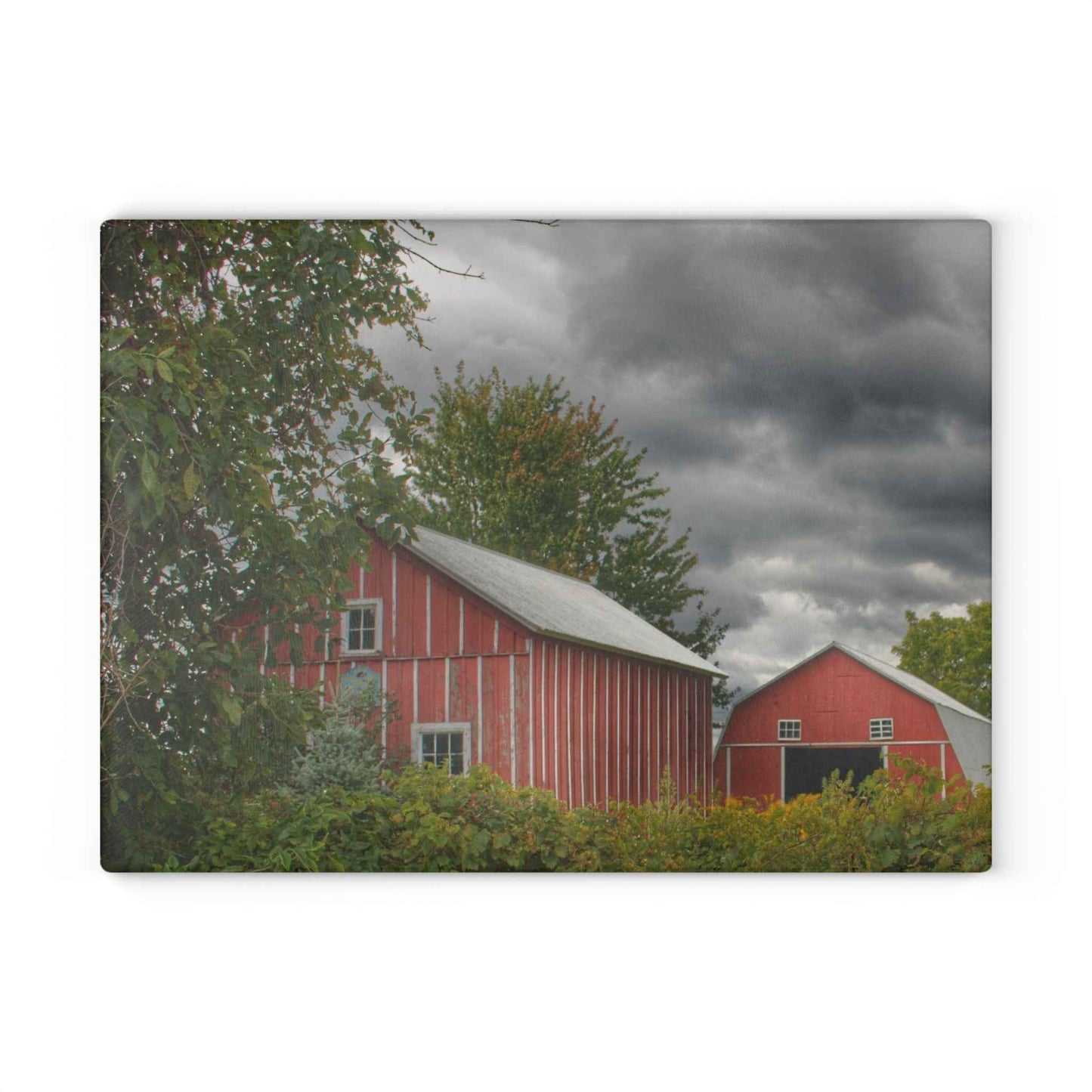 U R There Photography Pinstripe Barn and Buddy I Rustic Farmhouse Tempered-Glass Cutting Board