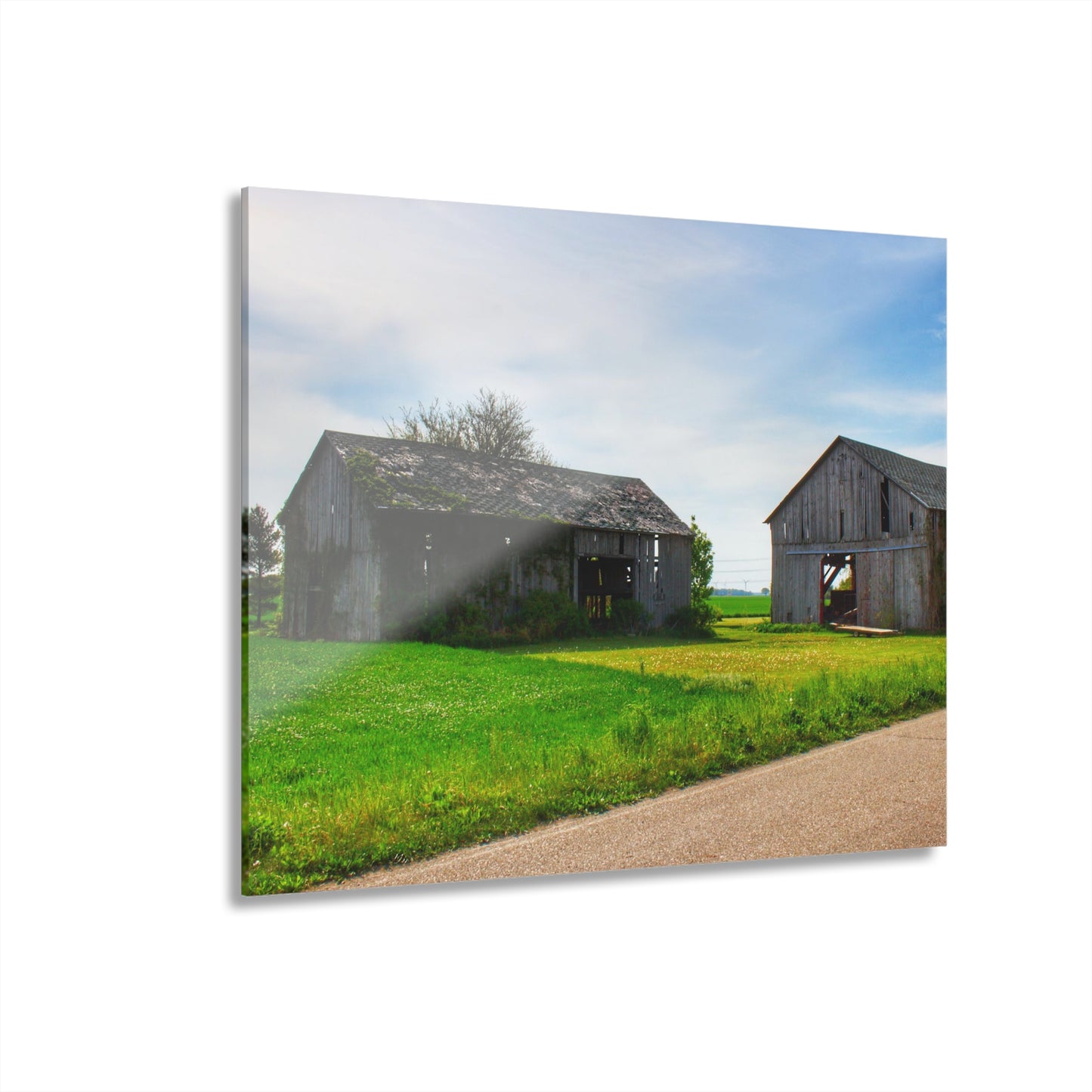 U R There Photography Caro Road Twin Greys I Rustic Farmhouse Acrylic Wall Print