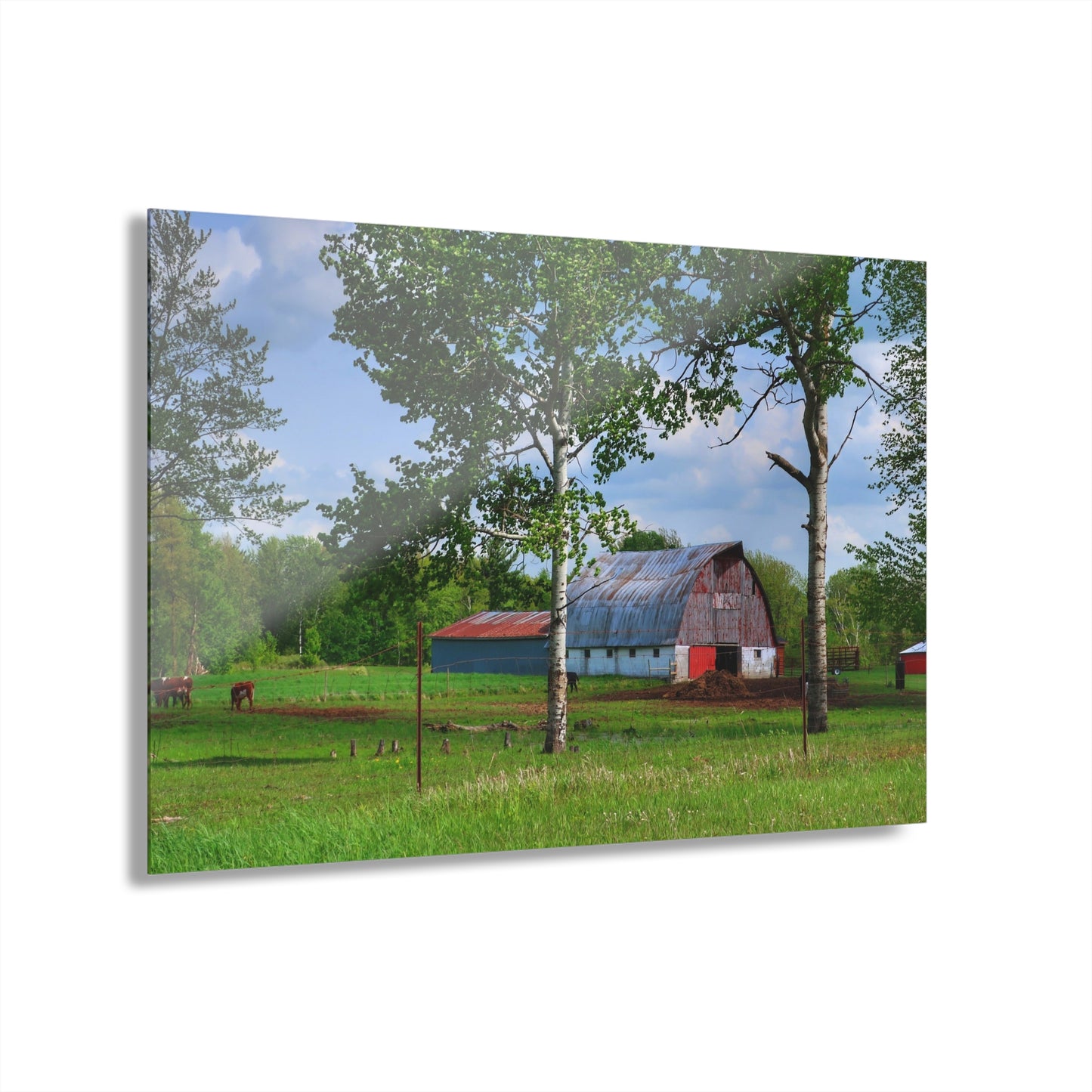 U R There Photography Shepard Road Hillman Red Rustic Farmhouse Acrylic Wall Print