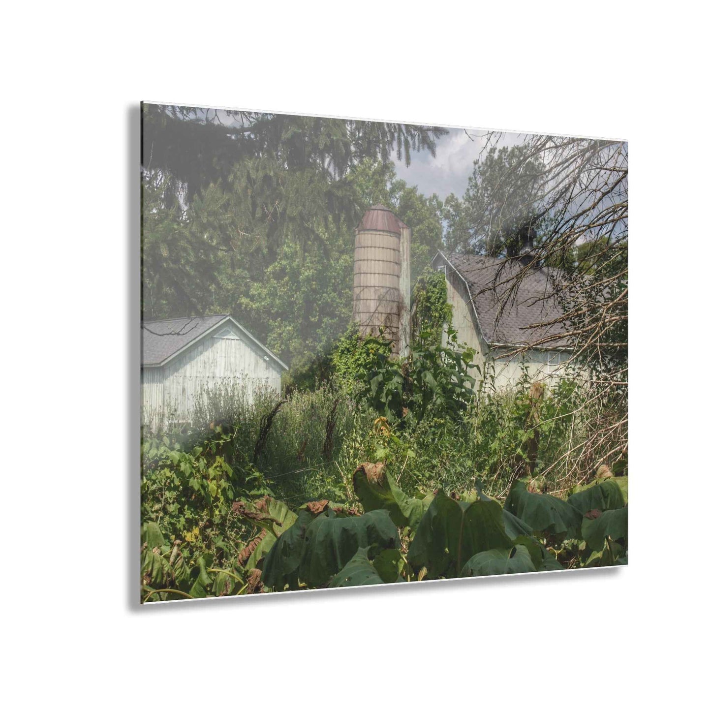 U R There Photography Clark Road Hidden Rustic Farmhouse Acrylic Wall Print
