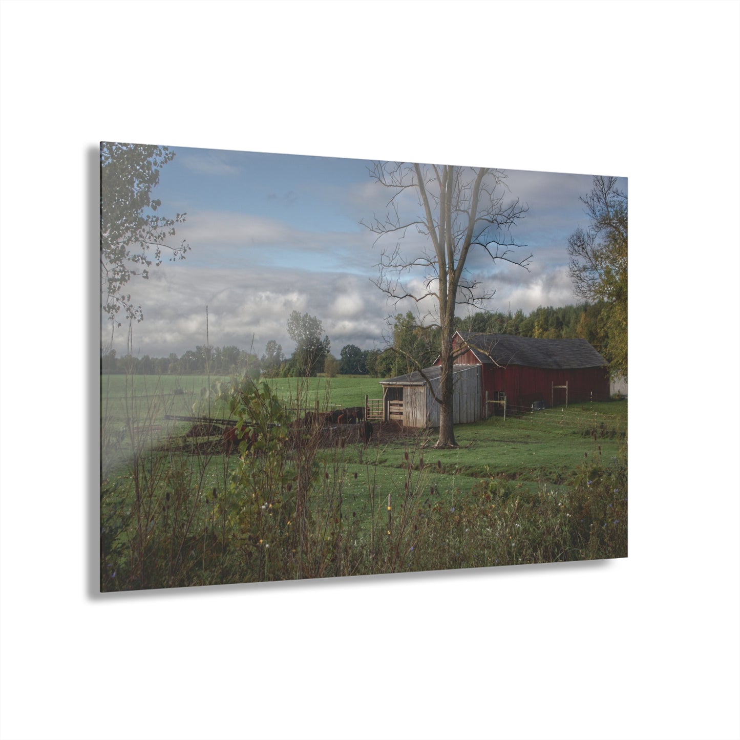 U R There Photography West Oregon Road Hidden Red IV Rustic Farmhouse Acrylic Wall Print
