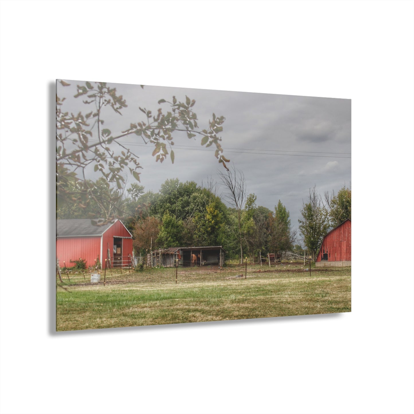 U R There Photography Petz Road Farm Rustic Farmhouse Acrylic Wall Print