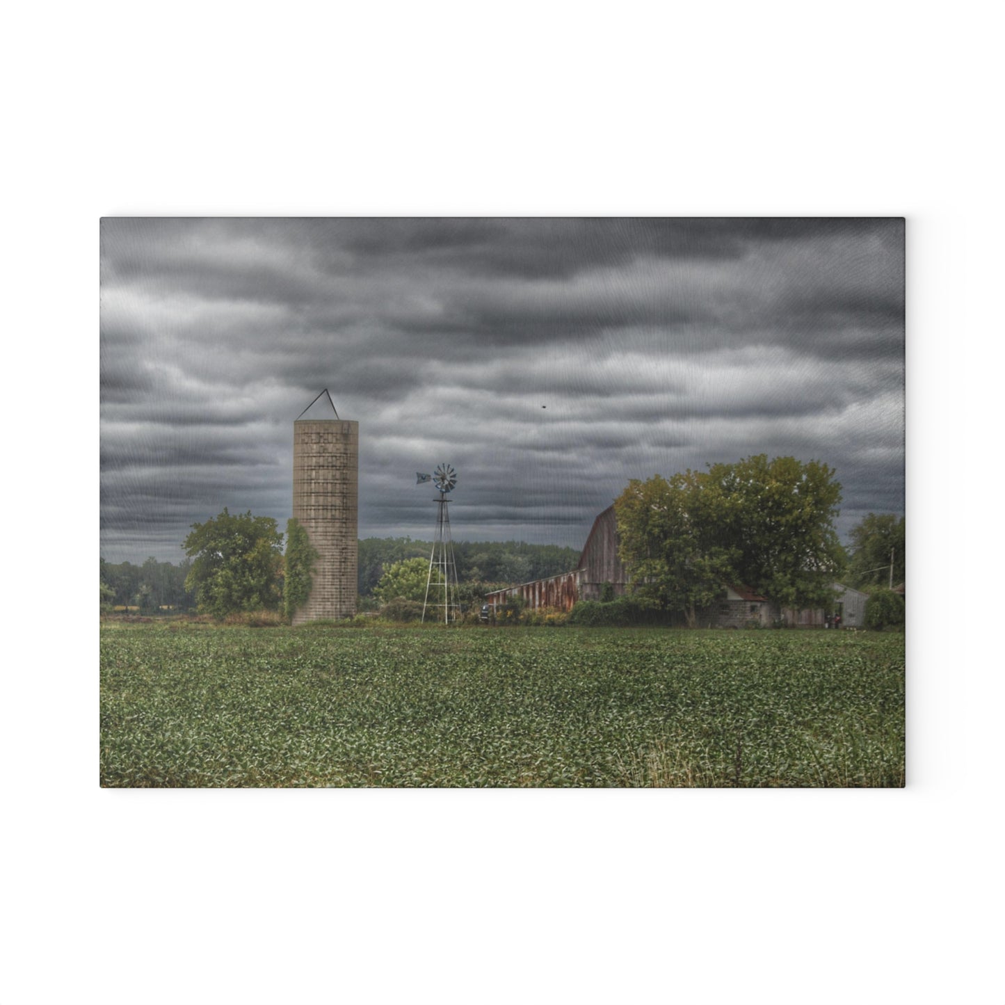 U R There Photography Rider Road Grey Rustic Farmhouse Tempered-Glass Cutting Board