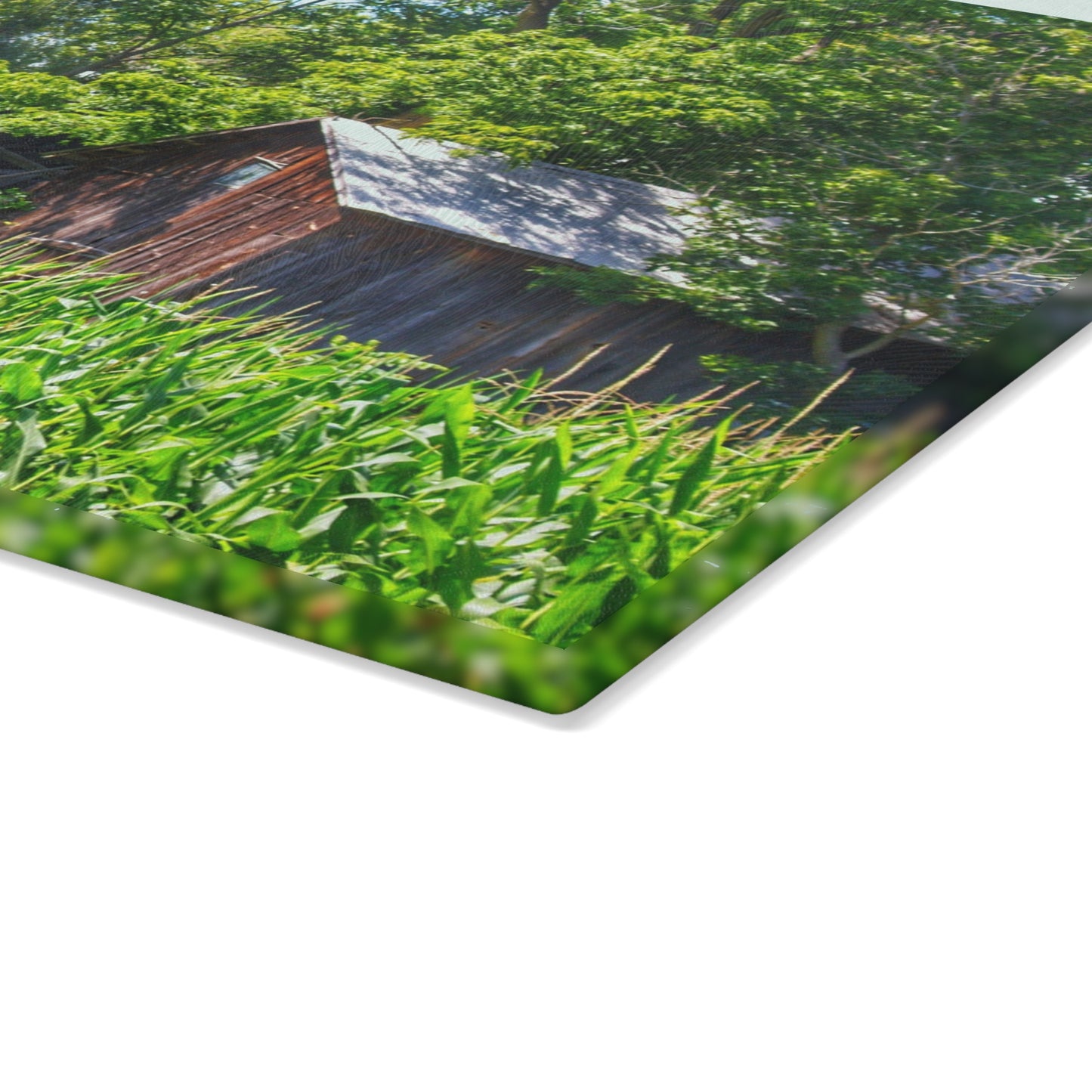 U R There Photography Roadside Ruin Rustic Farmhouse Tempered-Glass Cutting Board