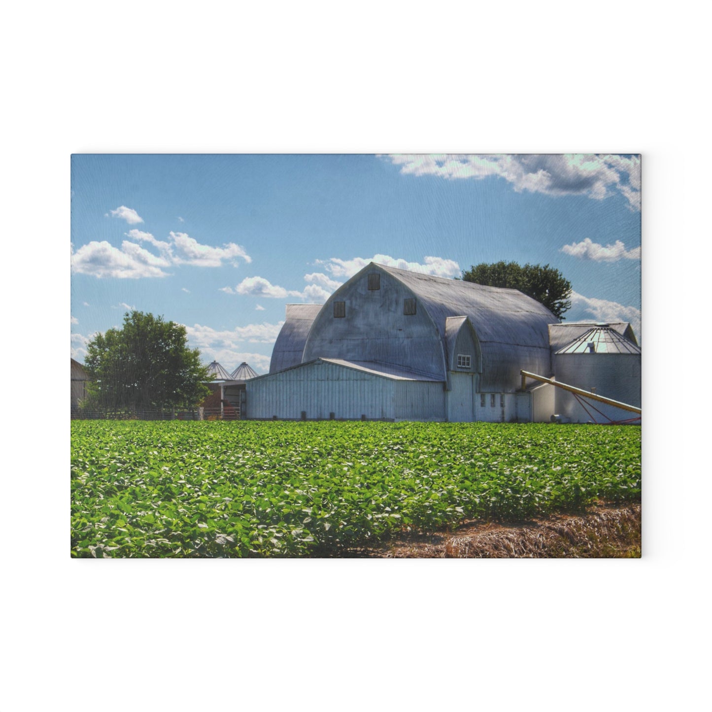U R There Photography Canada Road White Rustic Farmhouse Tempered-Glass Cutting Board