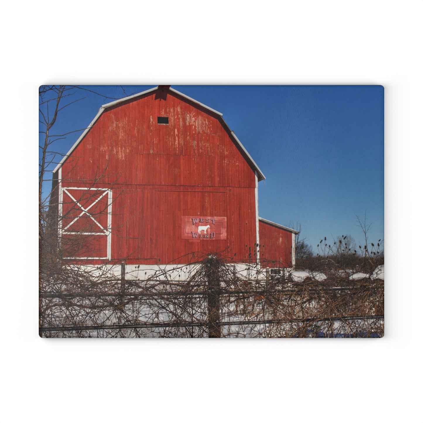 U R There Photography Vassar Red Wild Rustic Farmhouse Tempered-Glass Cutting Board