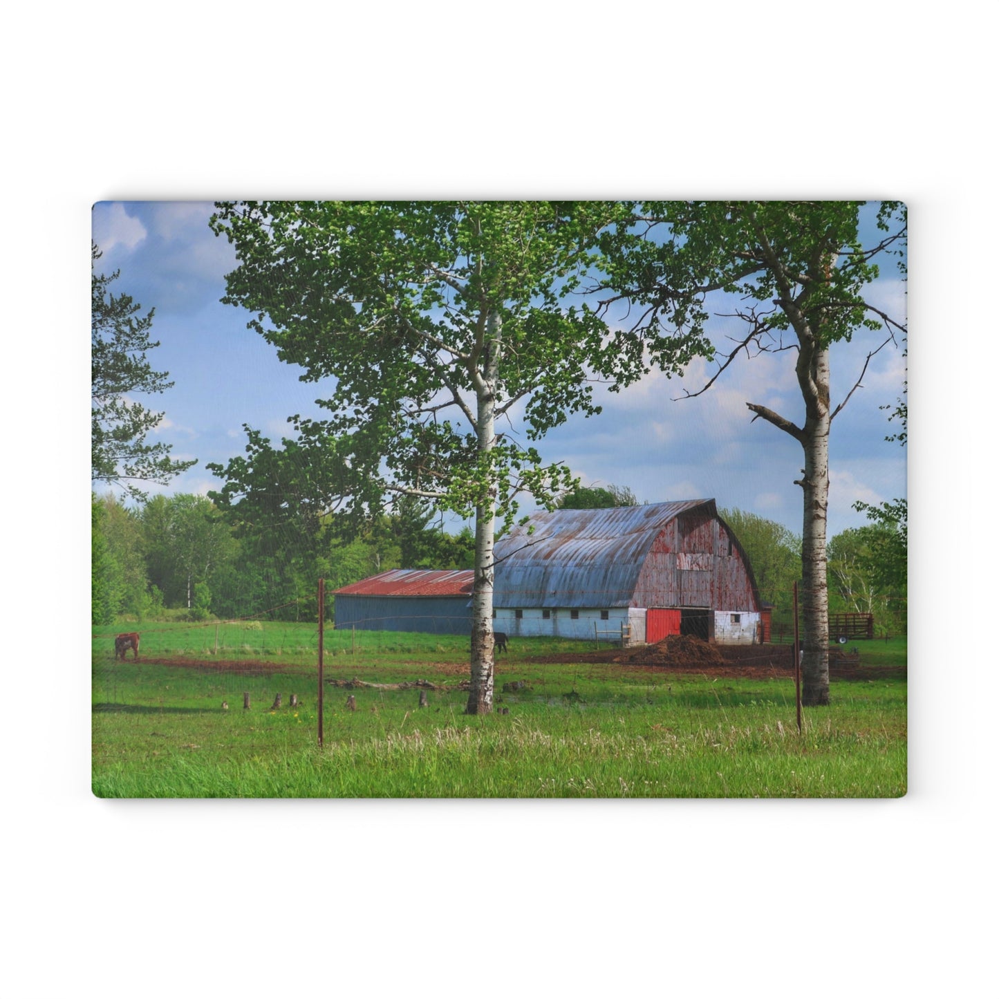 U R There Photography Shepard Road Hillman Red Rustic Farmhouse Tempered-Glass Cutting Board